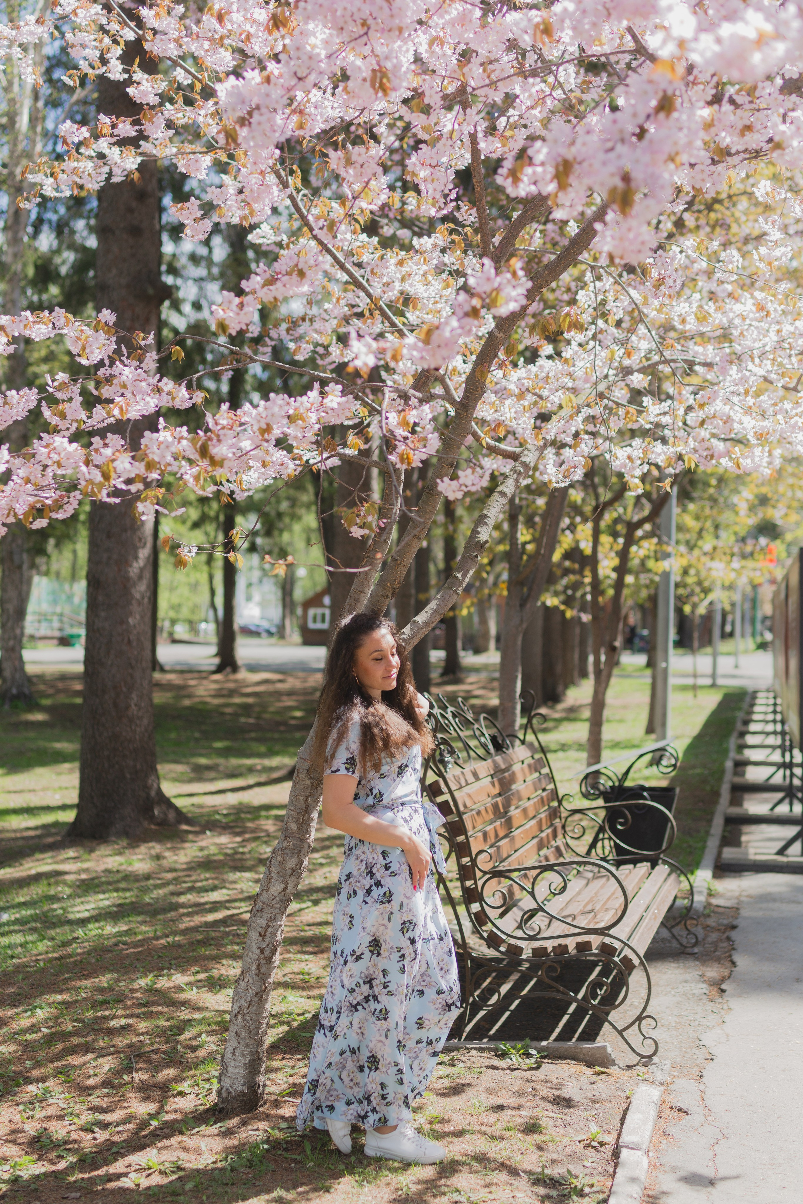 Настя и сакура. Фотограф Южно-Сахалинск