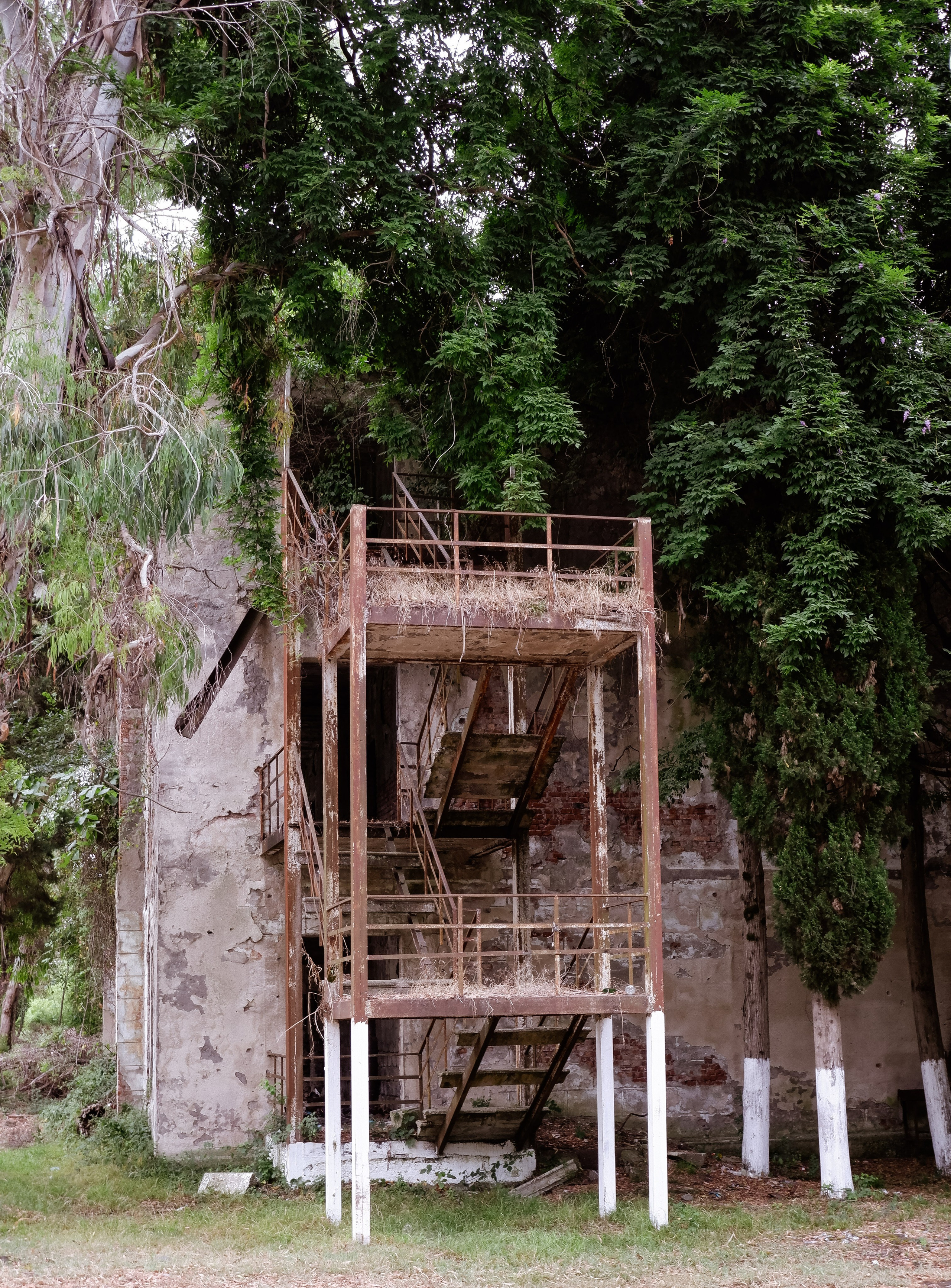 A republic that exists. Documentary photographer