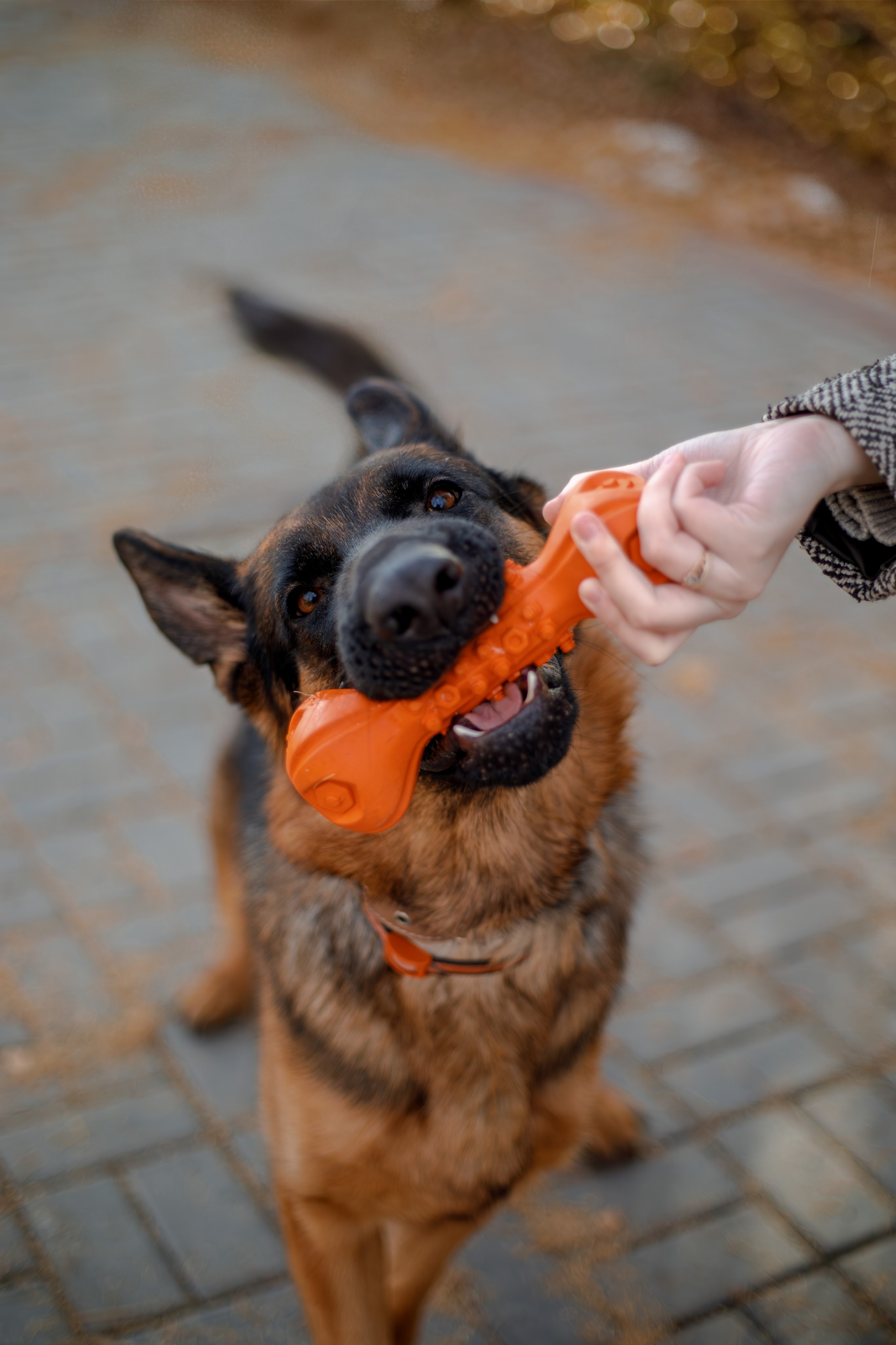 Ди и Джема. Фотограф Екатерина Козловская