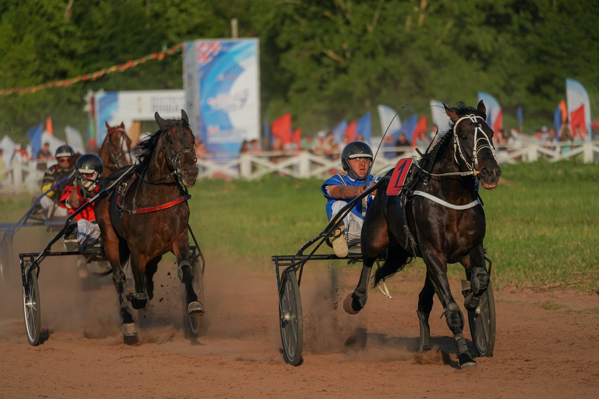 III конные бега на Кубок Главы Чувашии. Фотограф-анималист, портретный фотограф в Чебоксарах Мария Садыкова