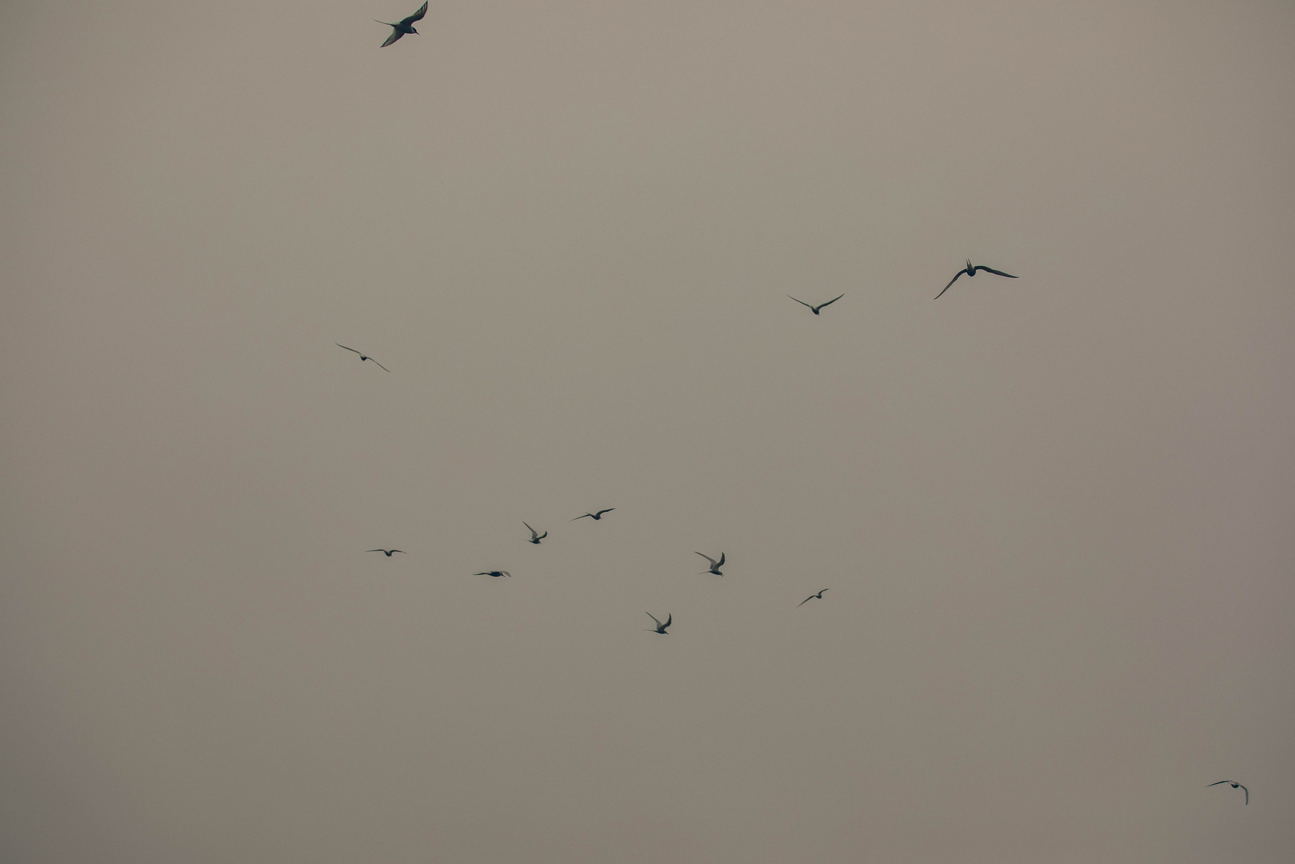 Кольский полуостров. Фотографирую для себя, своей семьи и друзей!