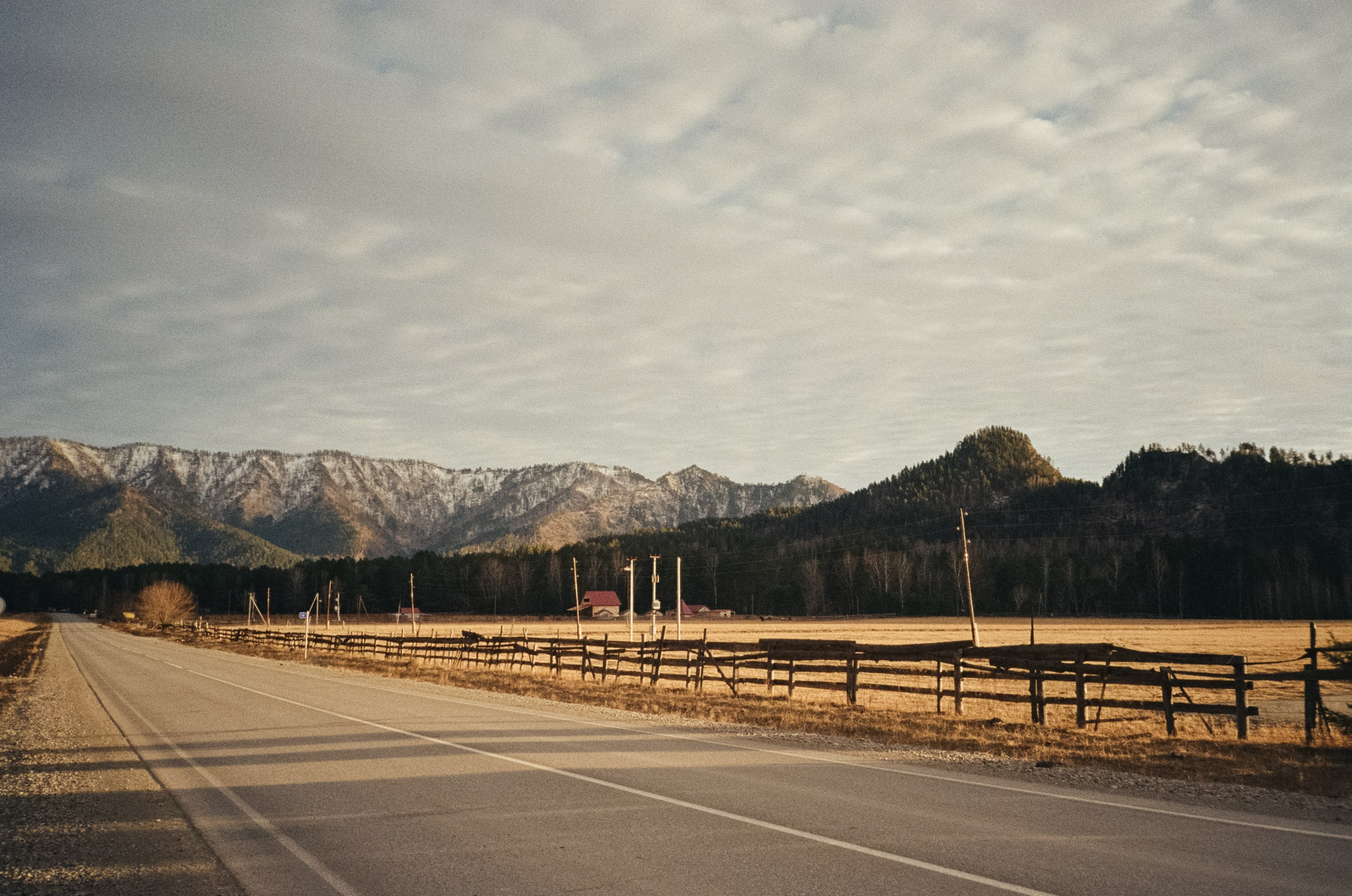От Кызыл-Таша до Чемала. Техас, горы, поля и коровы. Фотограф-документалист Мария Осокина