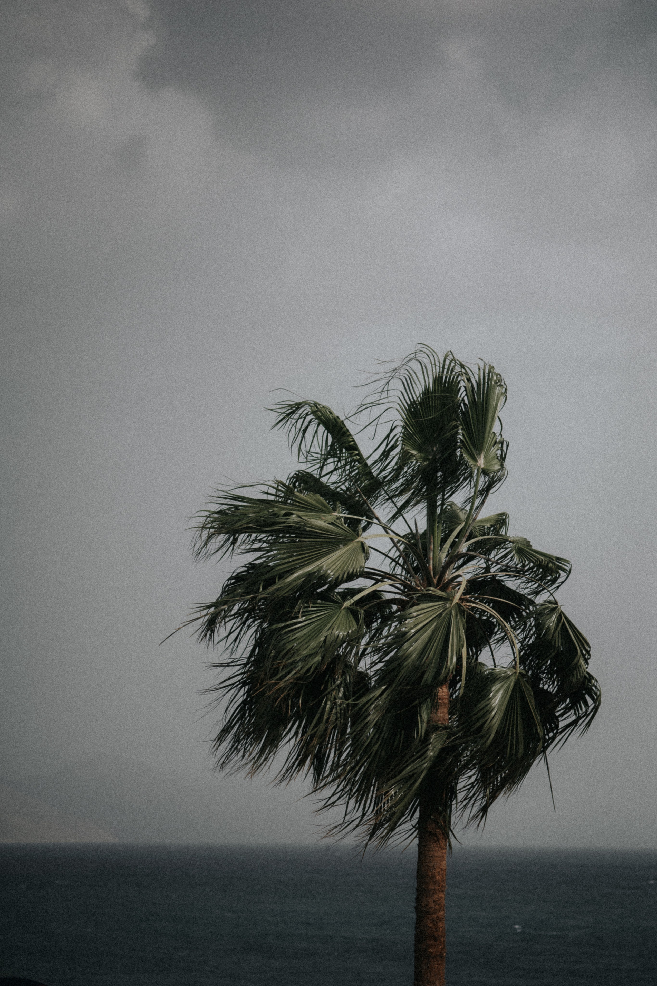 Пляж. Alesya Gee Photographer Uzbekistan