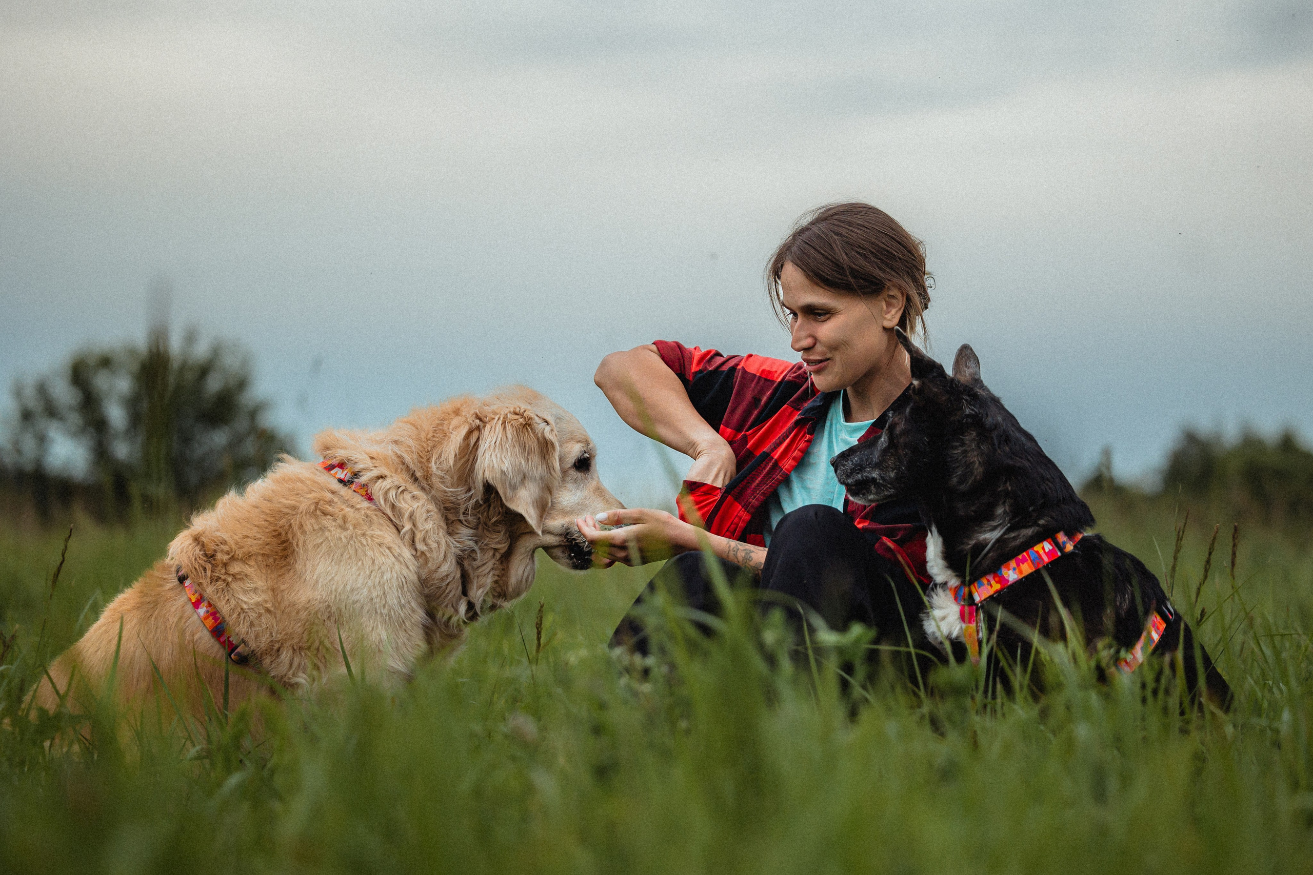 Выездной дог-тренинг от школы «Шерсть имею»