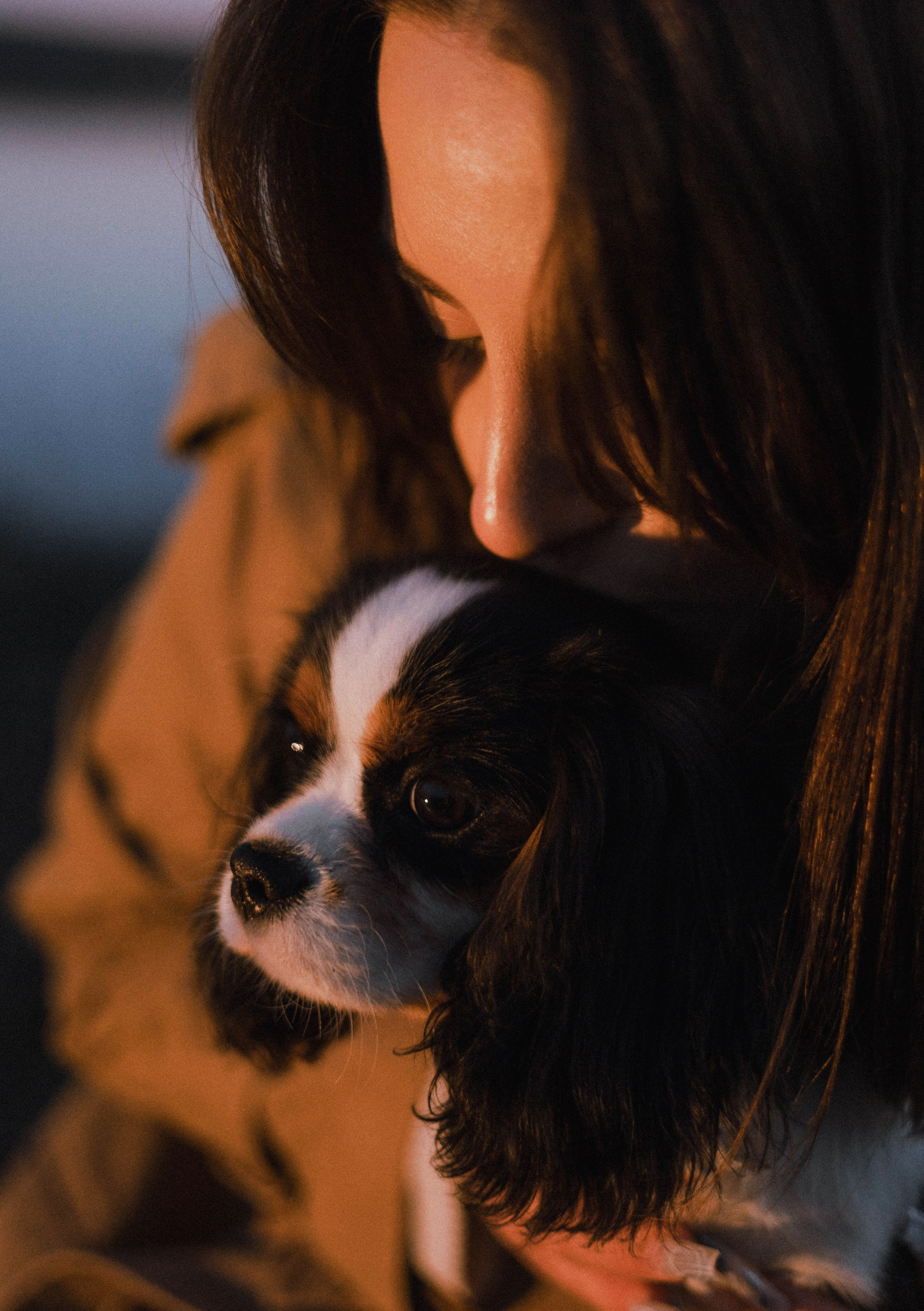 Ангелина и Йен. Фотограф-анималист Богданова Полина