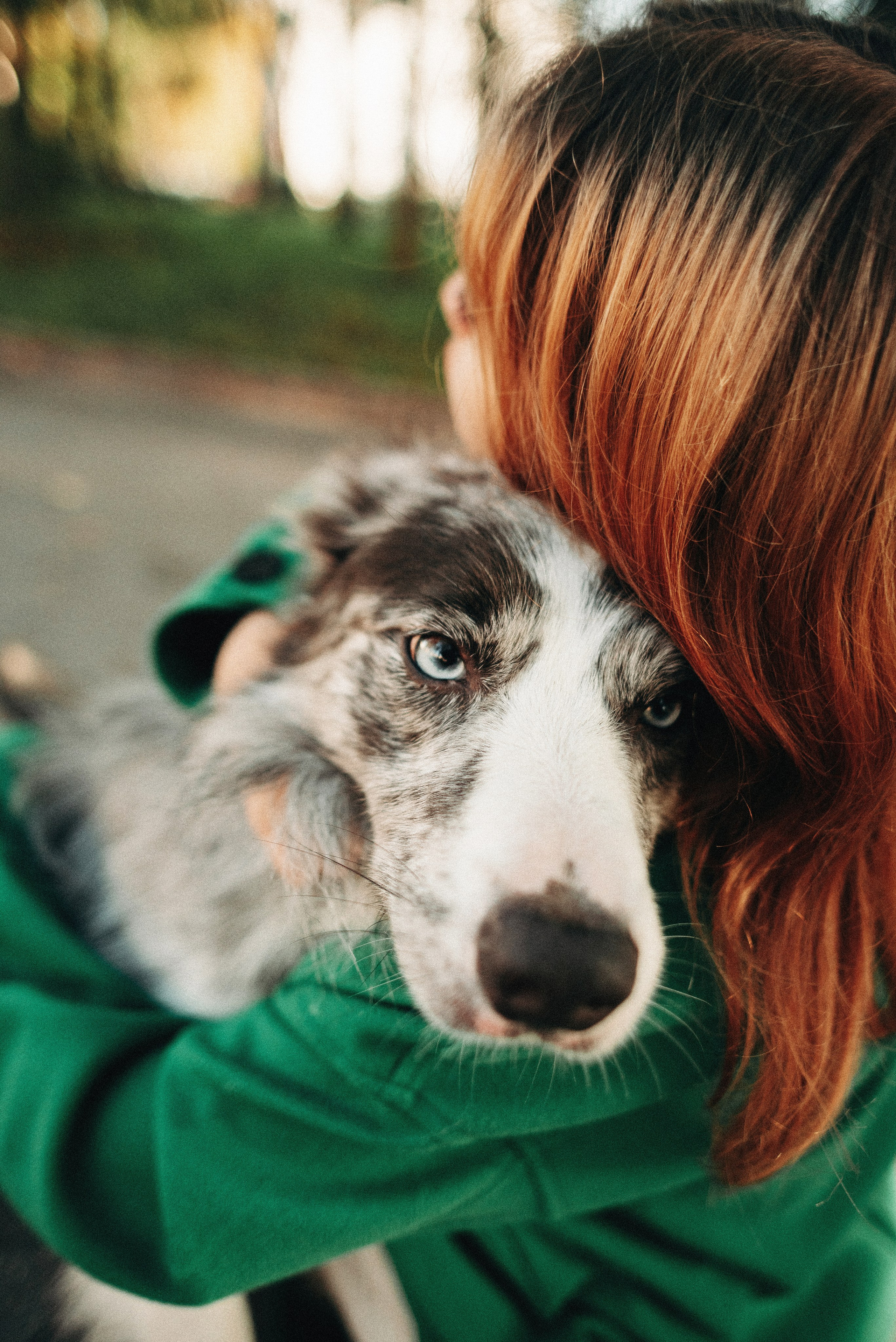 Диана и Робин. Фотограф-анималист Богданова Полина