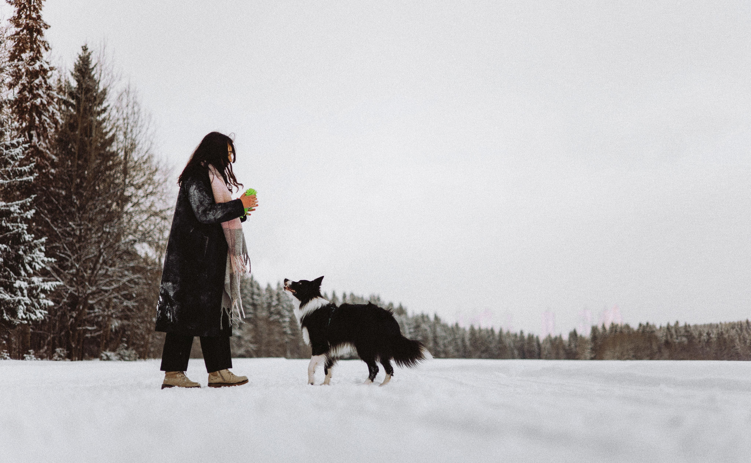 Алина и Найт. Фотограф-анималист Богданова Полина