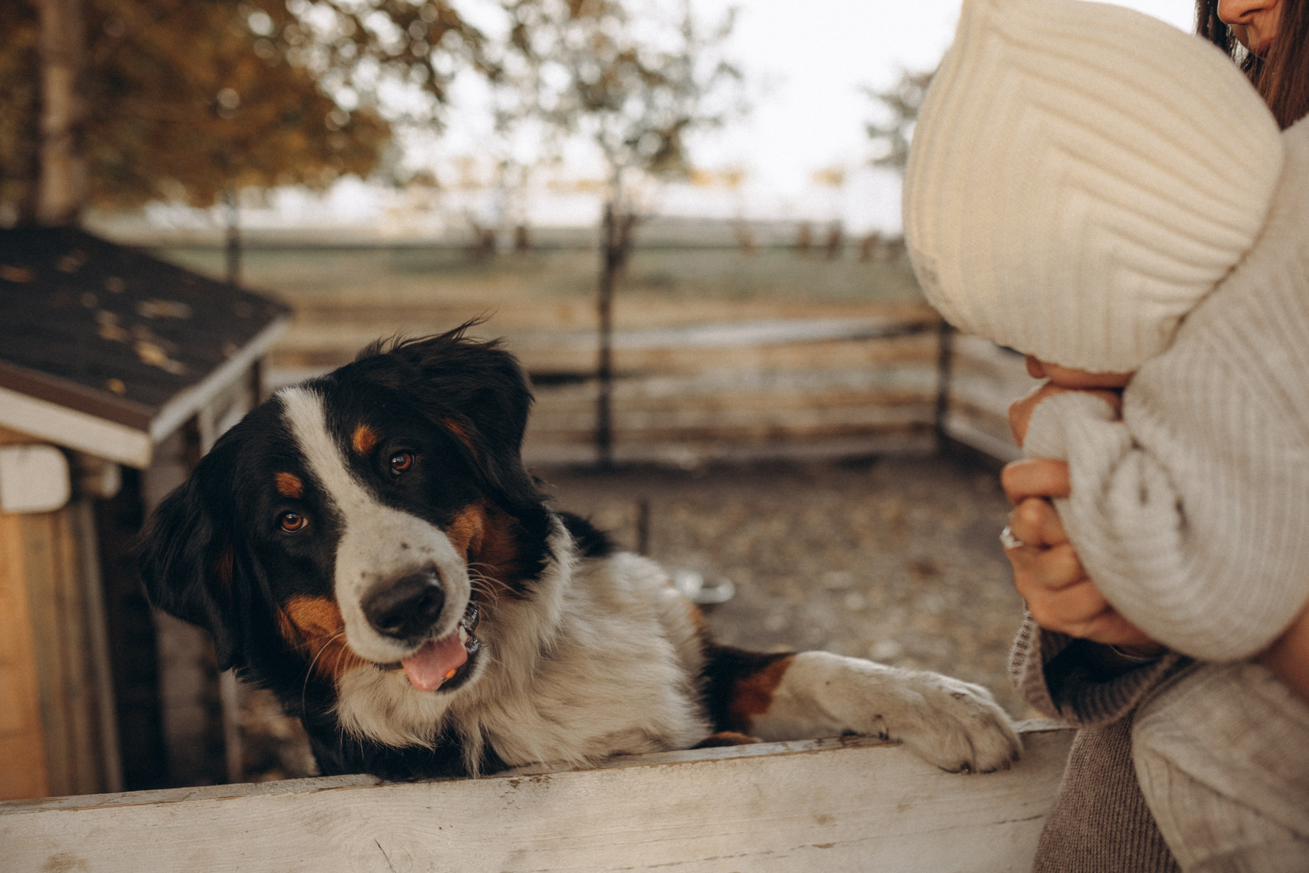 Фотопрогулка. Главная