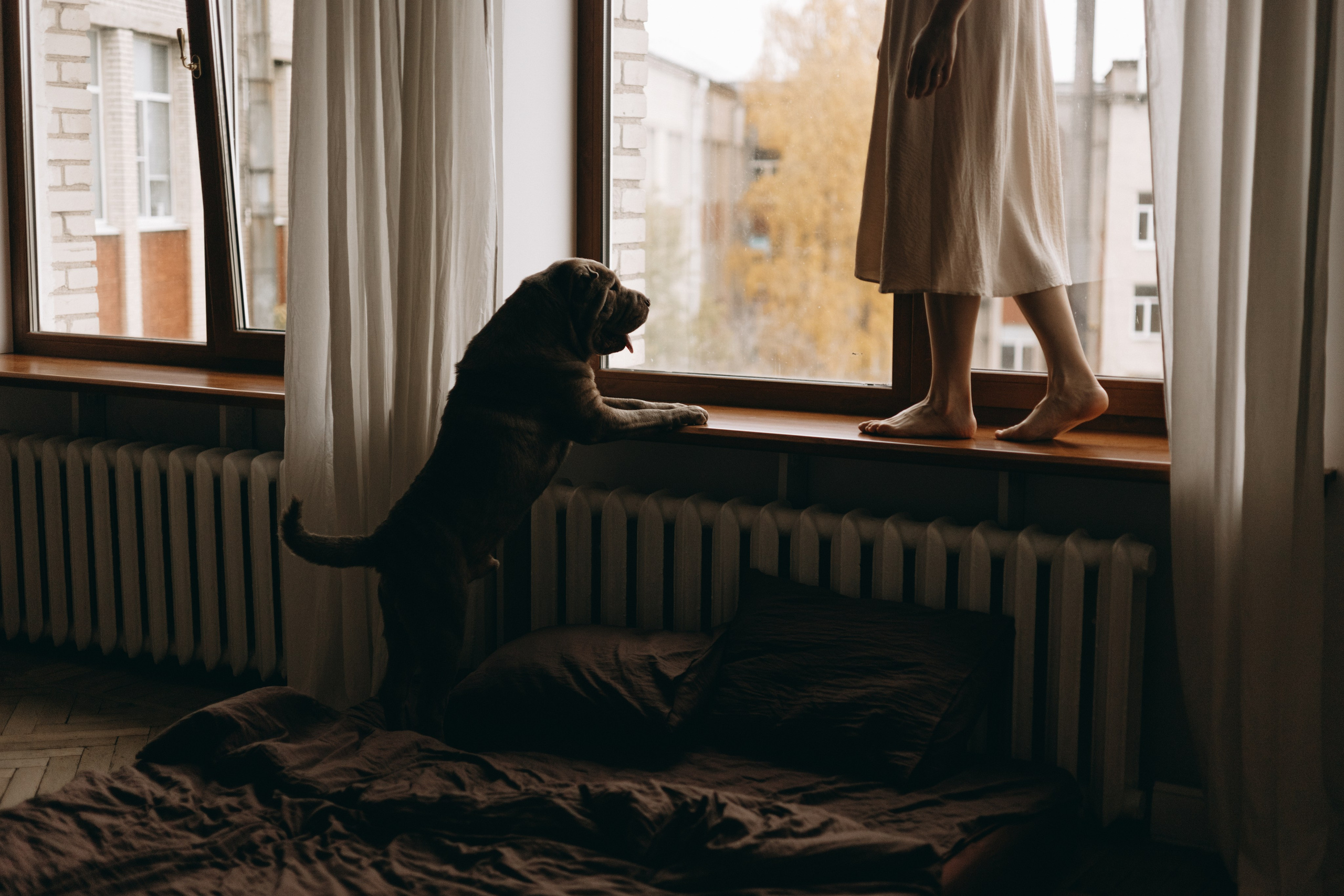 Ульяна и Вагнер. Фотограф — Анималист | Санкт-Петербург