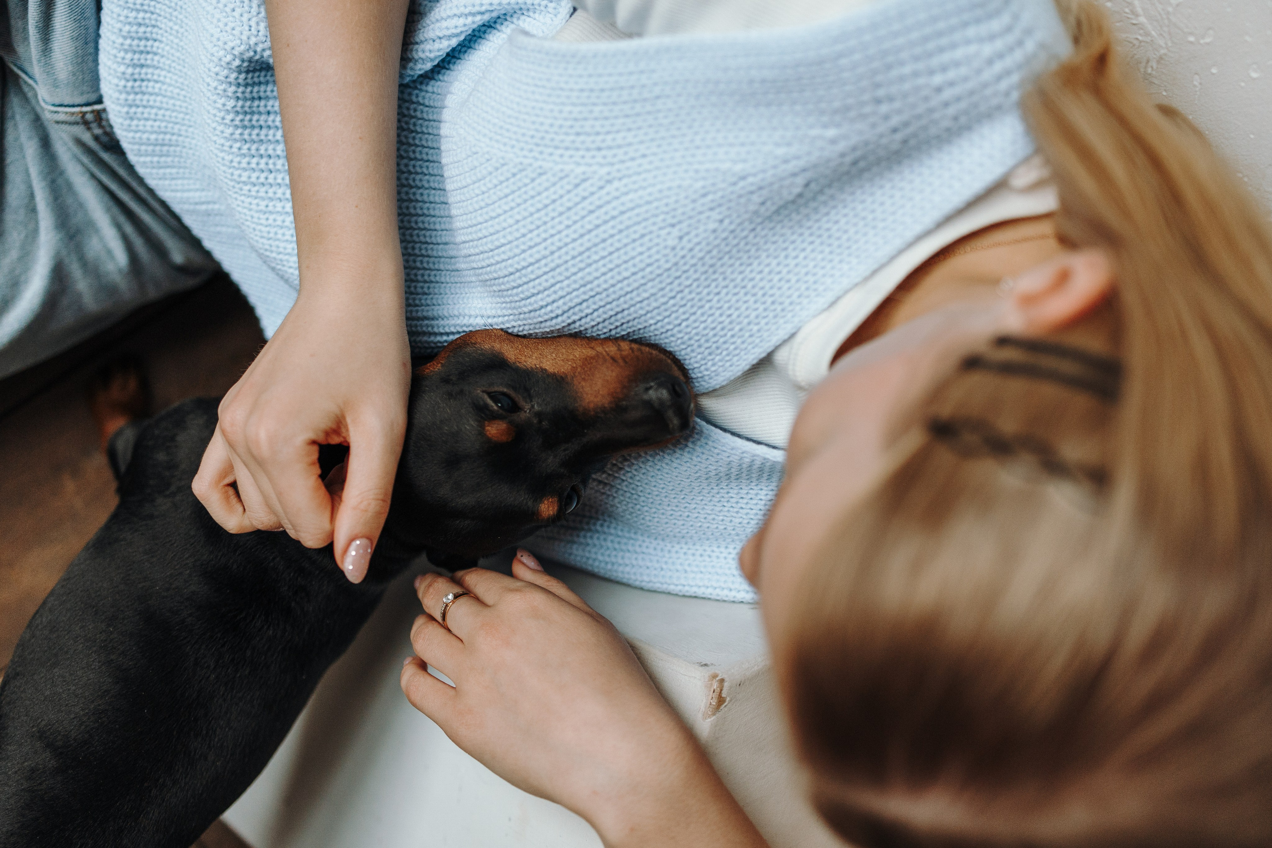 Катя и ее мальчики. Фотограф — Анималист | Санкт-Петербург
