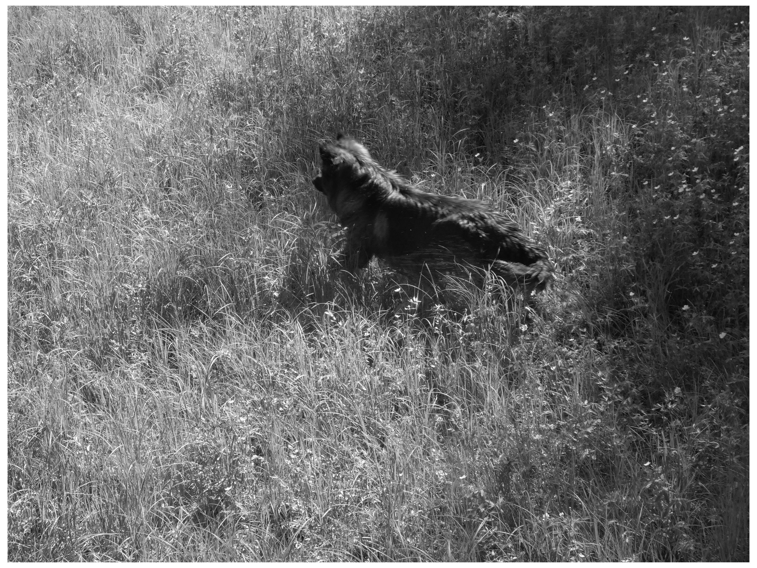 Промежуточные моменты (2022)