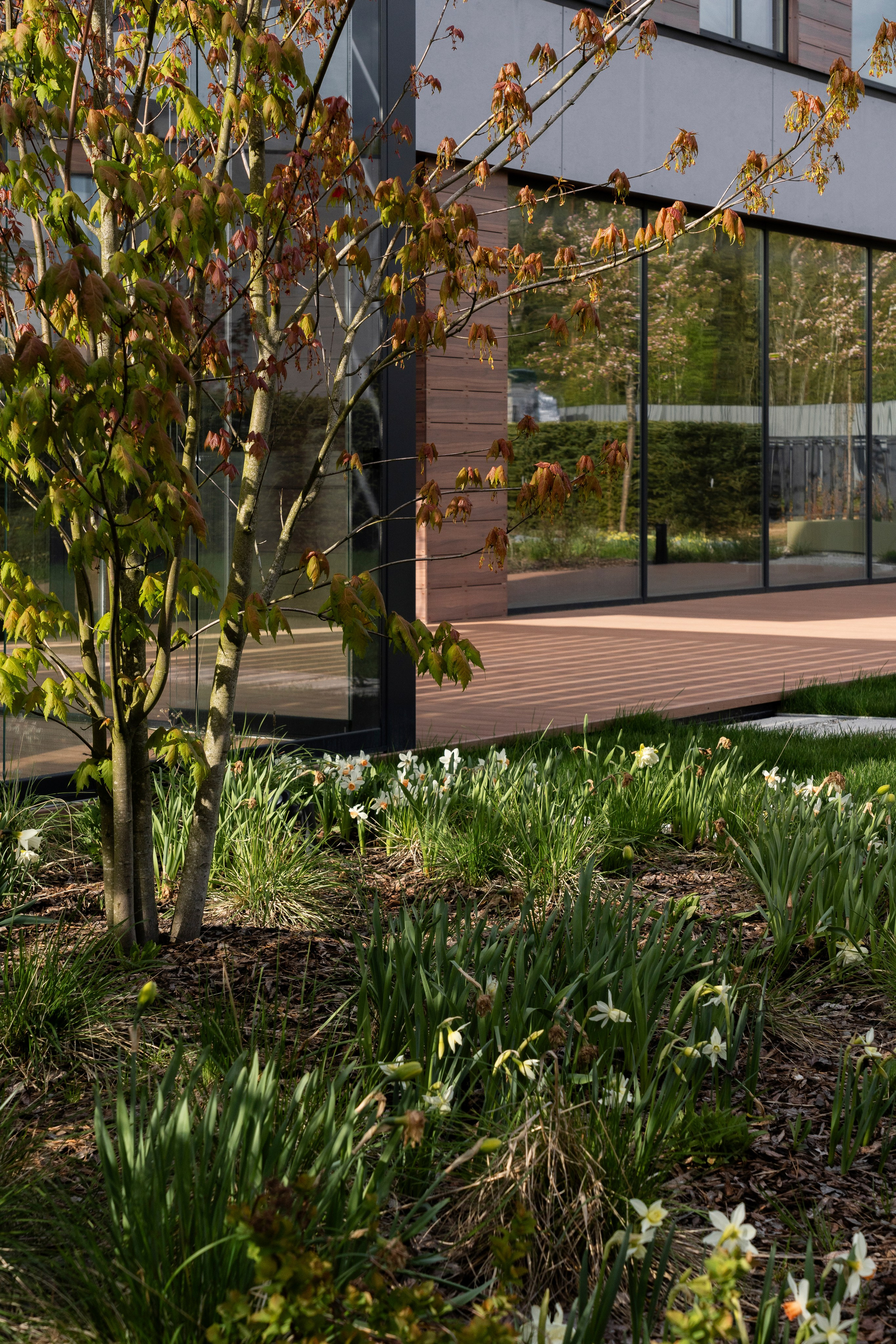 Blooming in the garden, Moscow region. Артамонов Александр | Архитектурный и ландшафтный фотограф