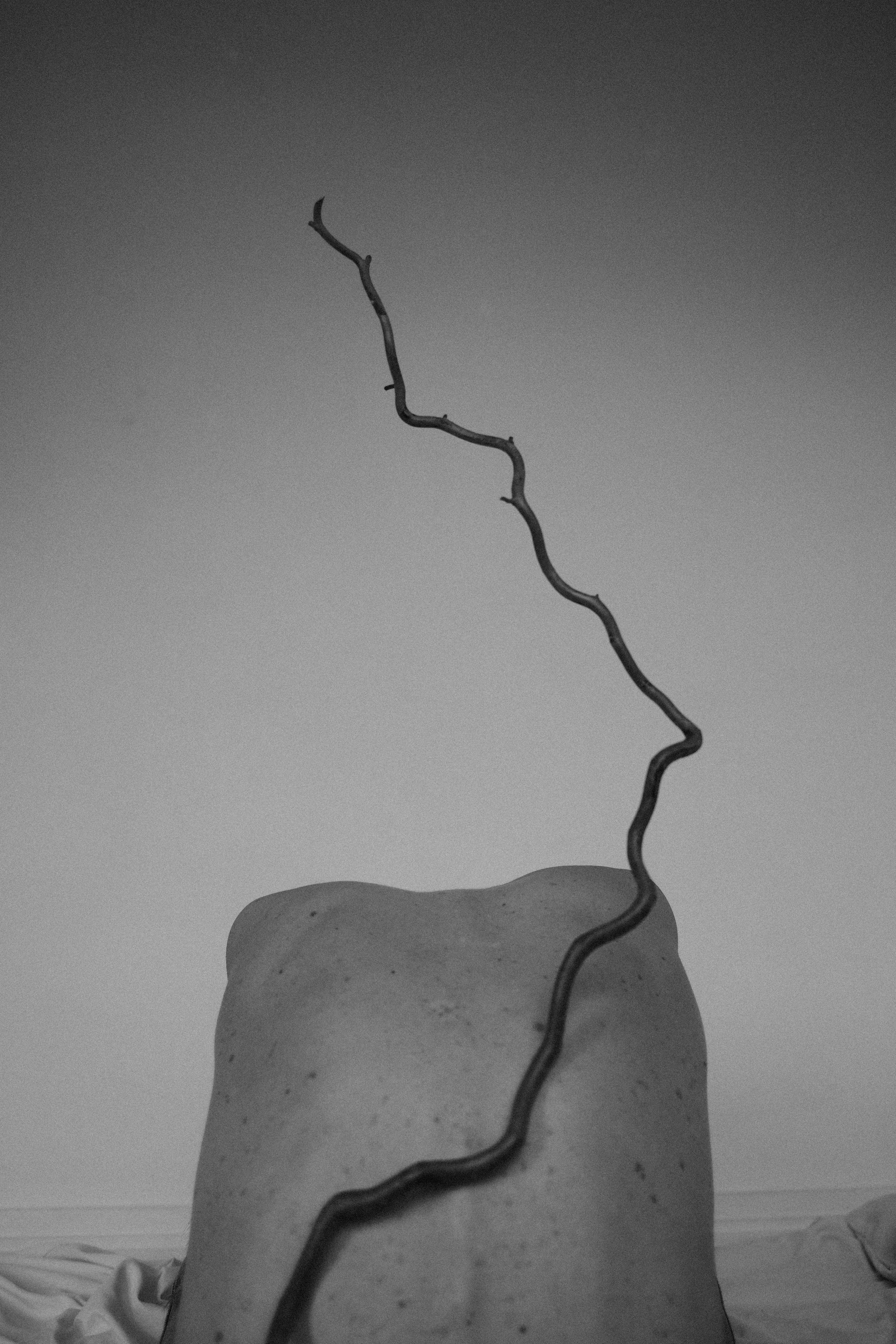 Портретный фотограф