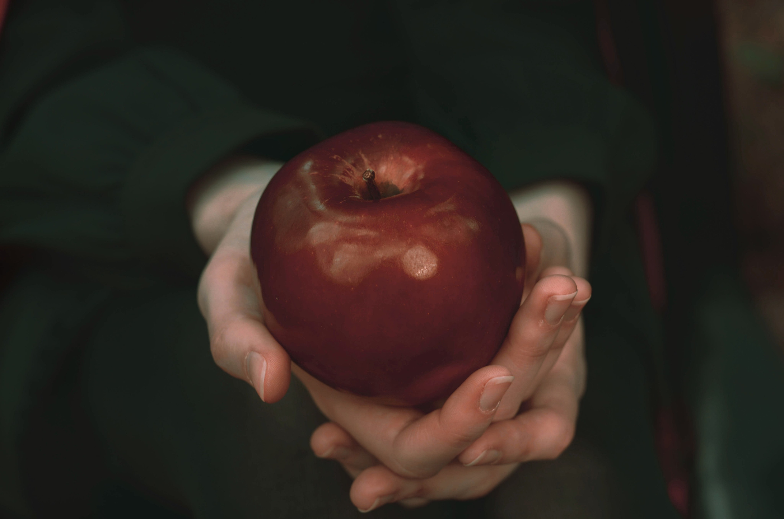 Фотопроект «Яблоки Белоснежки». Фотосессии по мотивам сказок и фильмов — Катерина Исауленко. СПб