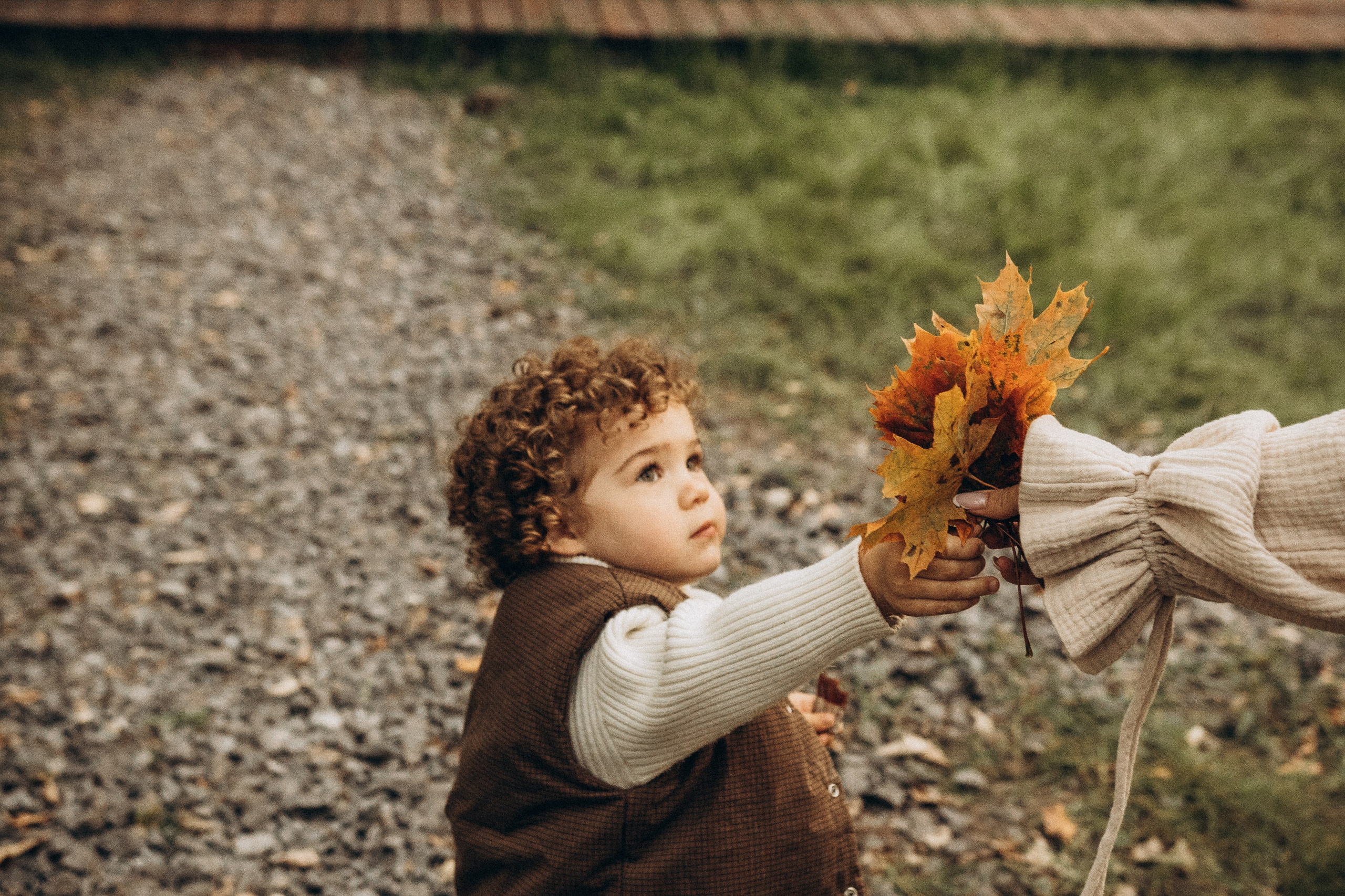 Осенняя сказка. Семейный Фотограф и Видеограф в Уфе Айгуль Васильева