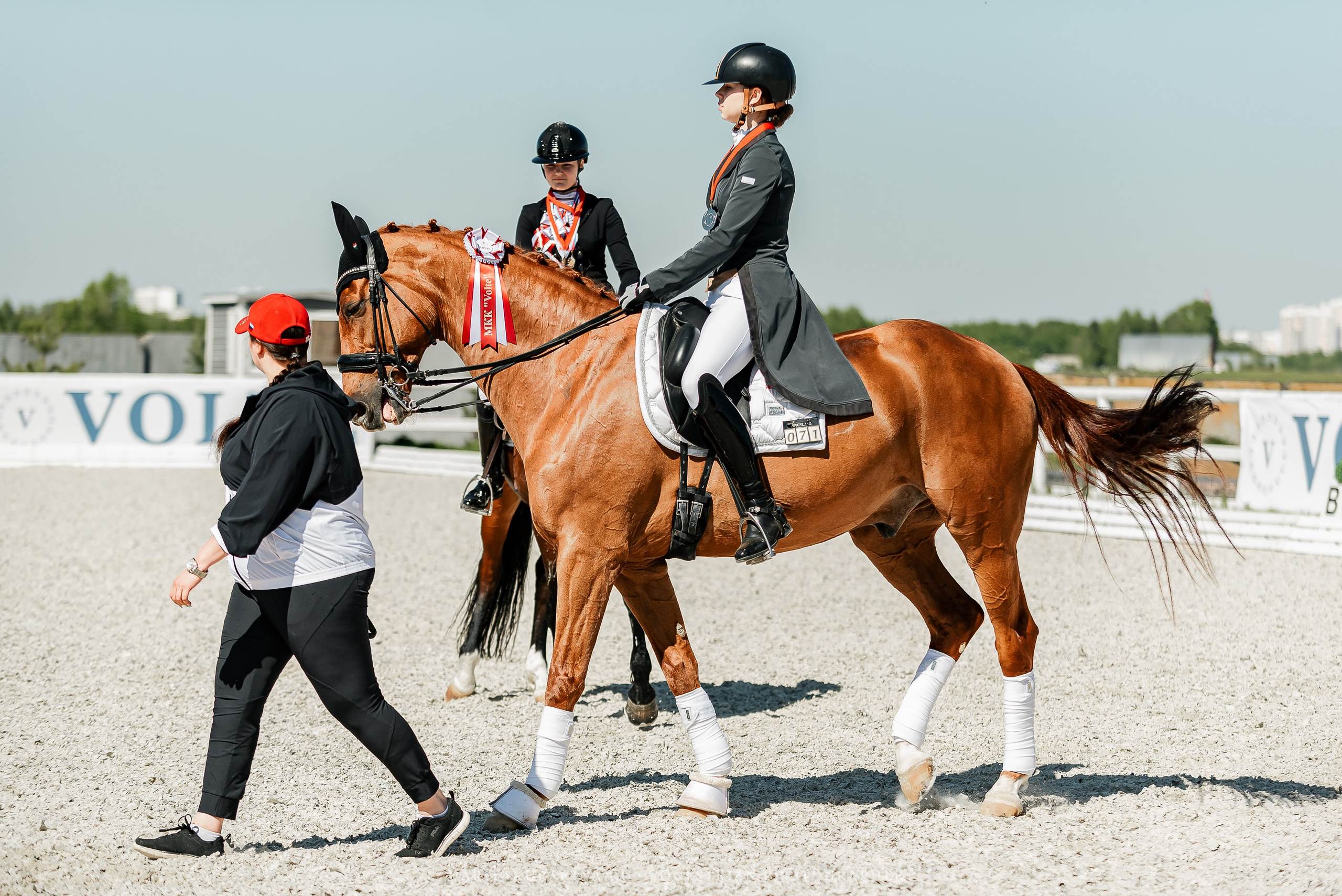 РЕПОРТАЖ МКК ВОЛЬТ «LA TULIPS». Конный фотограф Куракина Дарья • Фотосессии с лошадьми