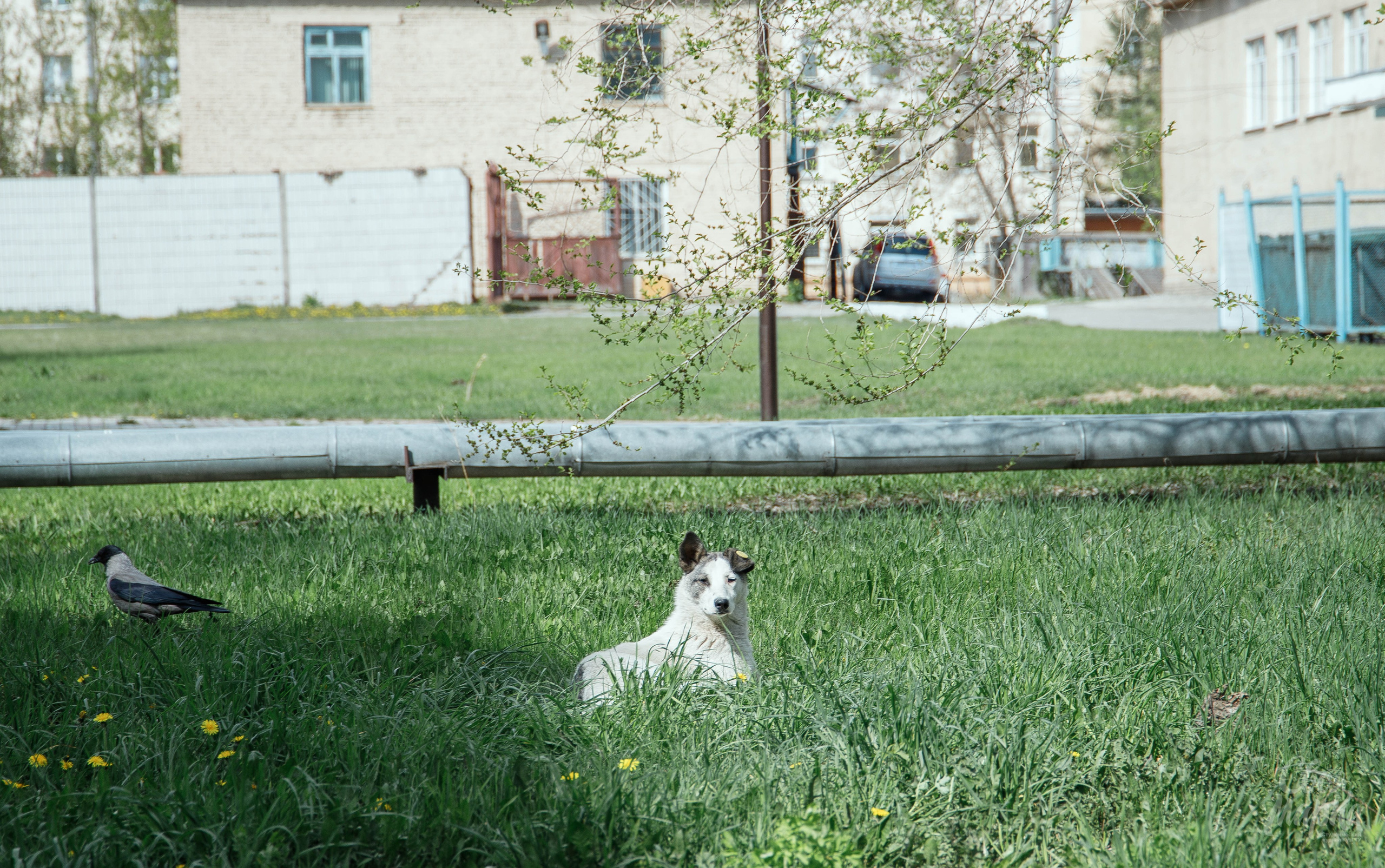 Ночь музеев. Фотограф Вахтель Елизавета