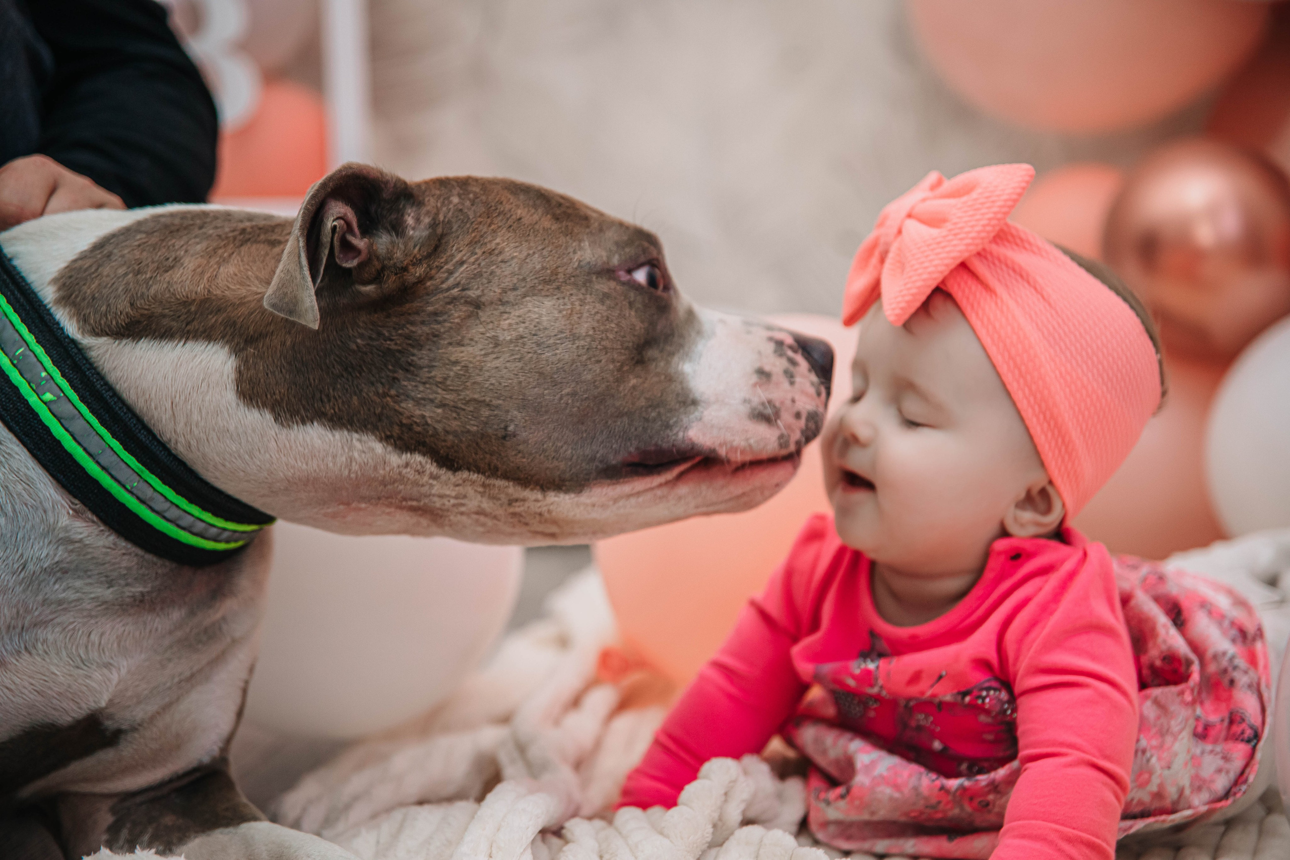 Виталине пол годика!. Фотограф Дарья Маташкова