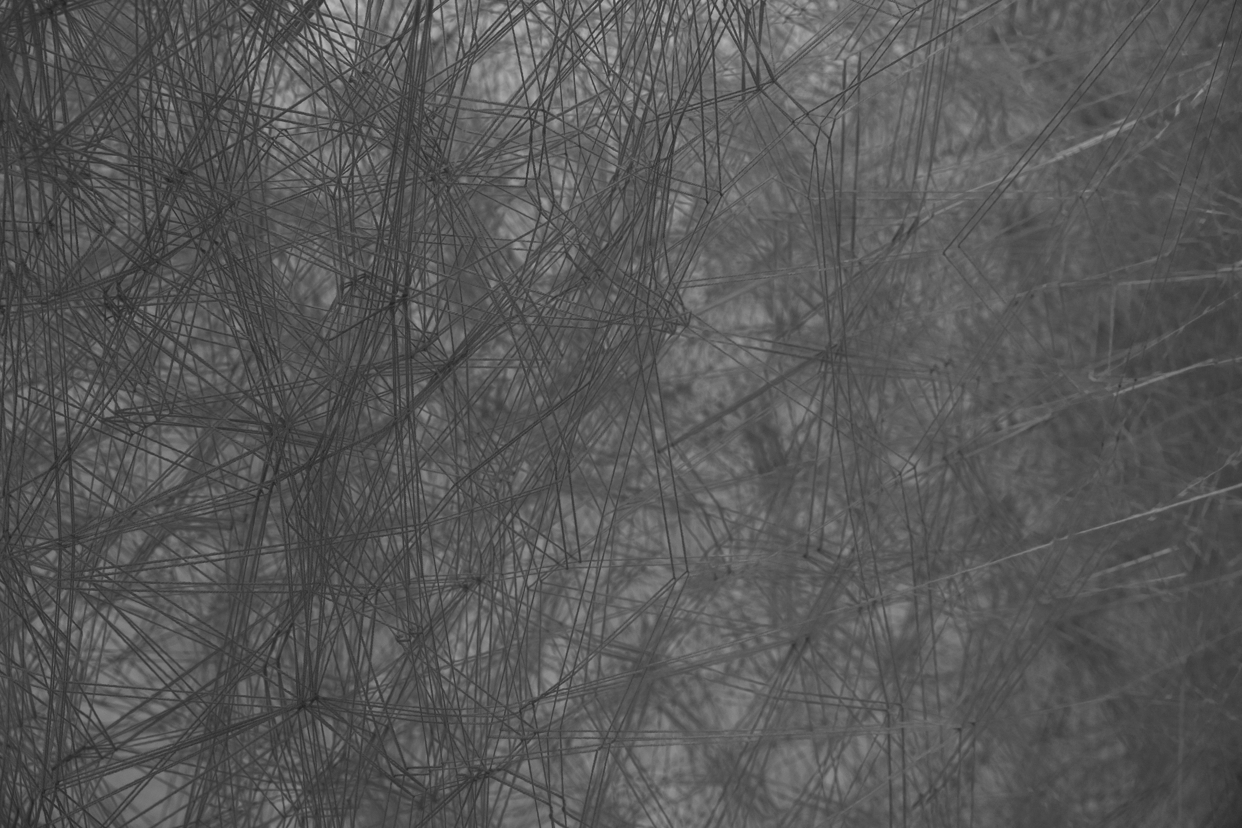 Art prints. Фотограф алина стерхова, алина стерхова фотограф, фотограф москва