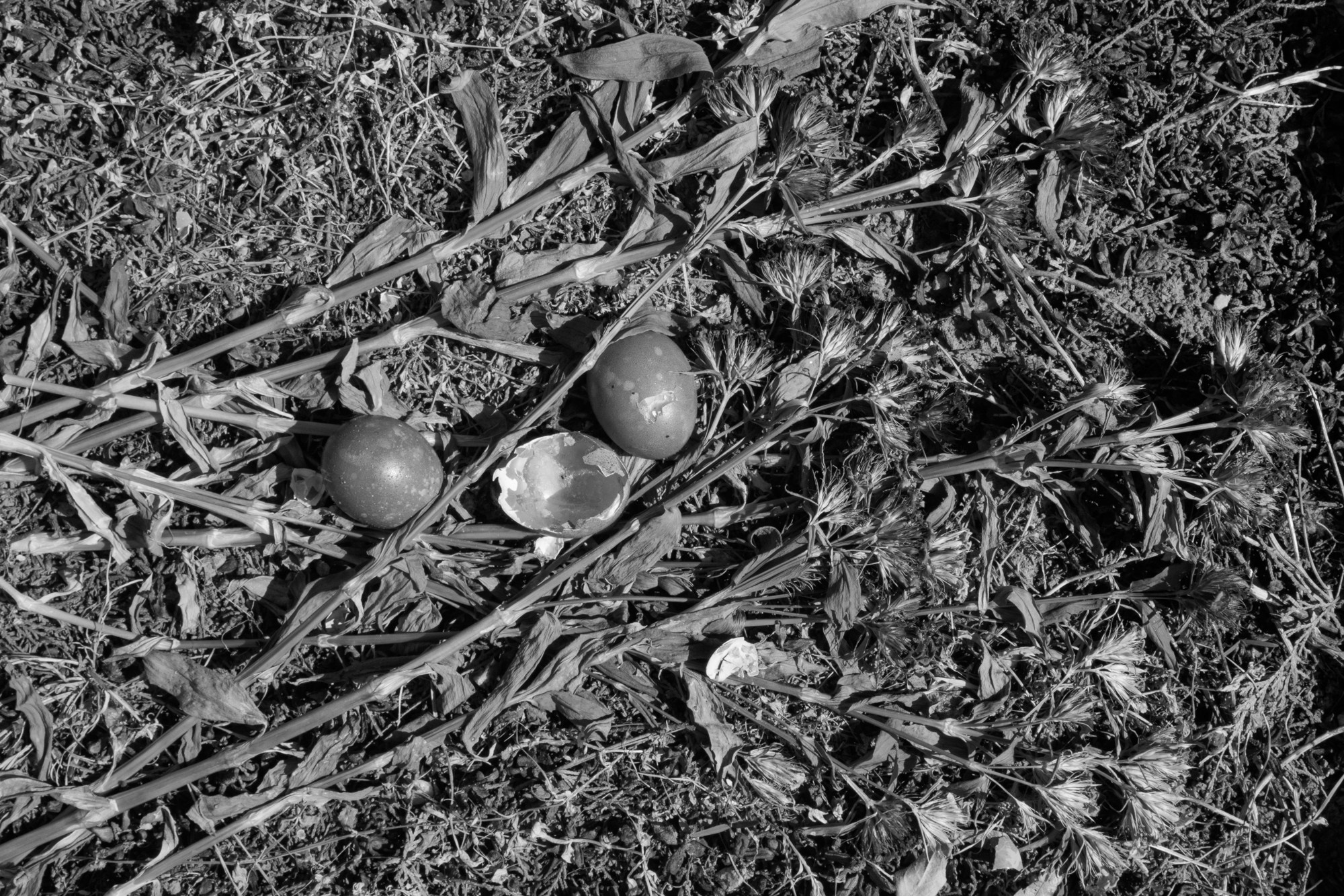 WAITING HALL. Alexander Malchenko