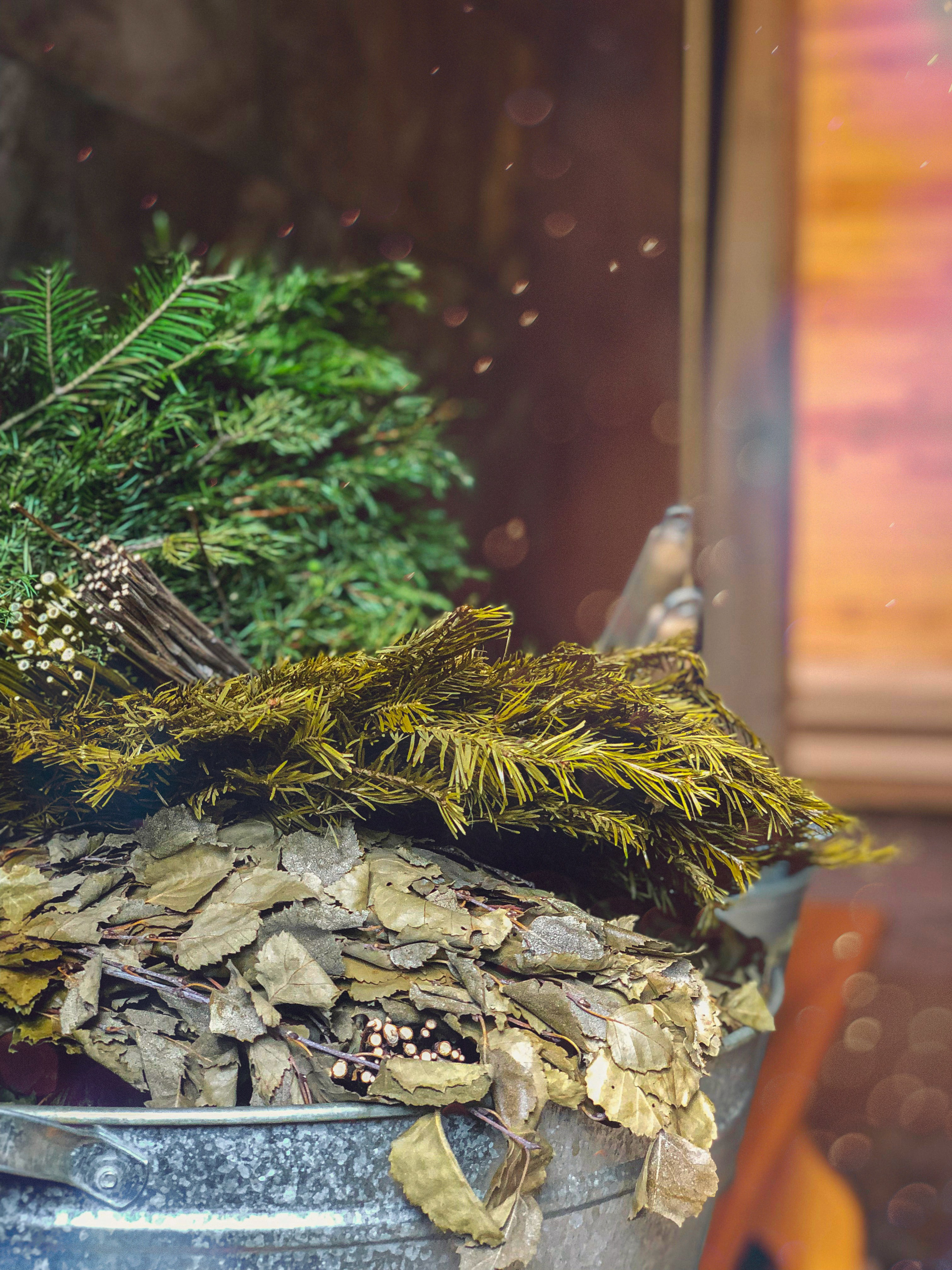 банный комплекс VIP класса, атмосфера покоя и гармонии, связь с природой, экодизайн, место отдыха и релакса, дизайн бани, натуральные материалы, здоровье и тело