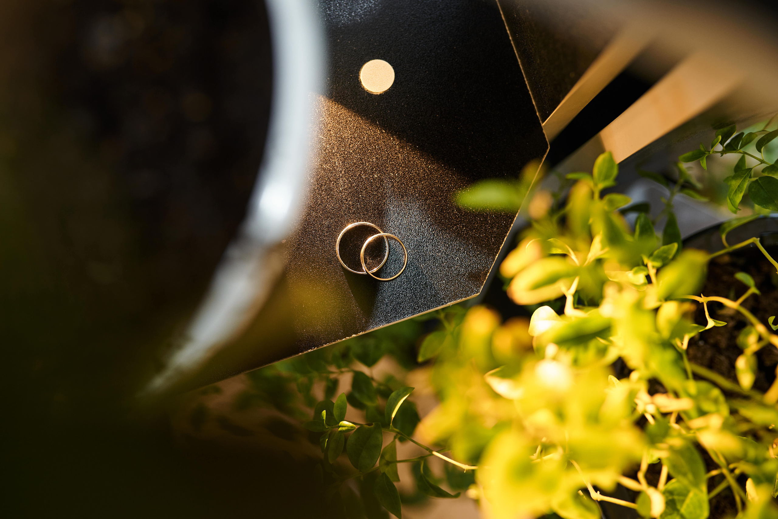 Свадьба Тагира и Даши. Свадебный фотограф г. Новочеркасск г. Ростов-на-Дону