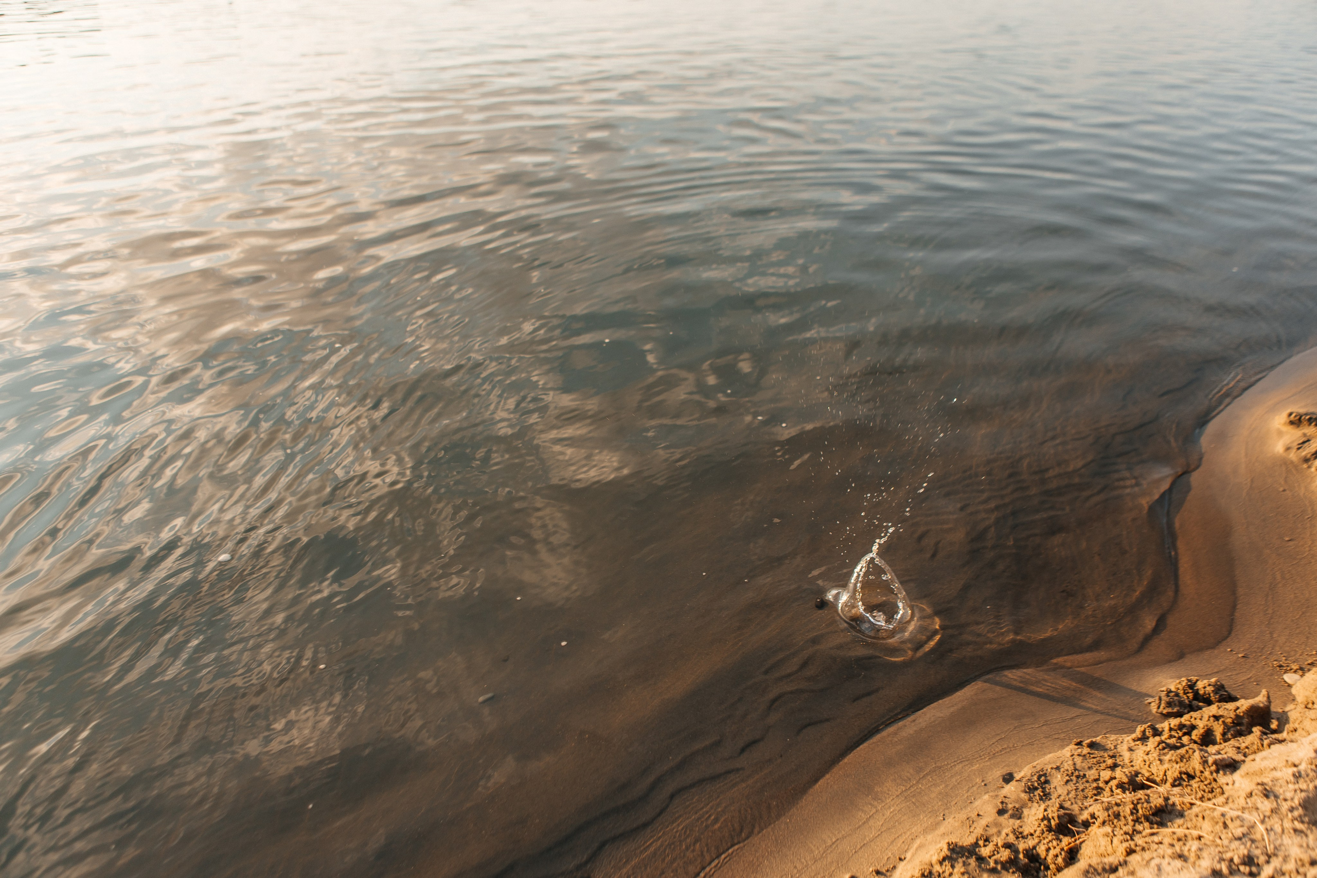 Семейная фотосессия на закате. Дарья Белякова. Свадебный, детский и семейный фотограф в городе Бийск