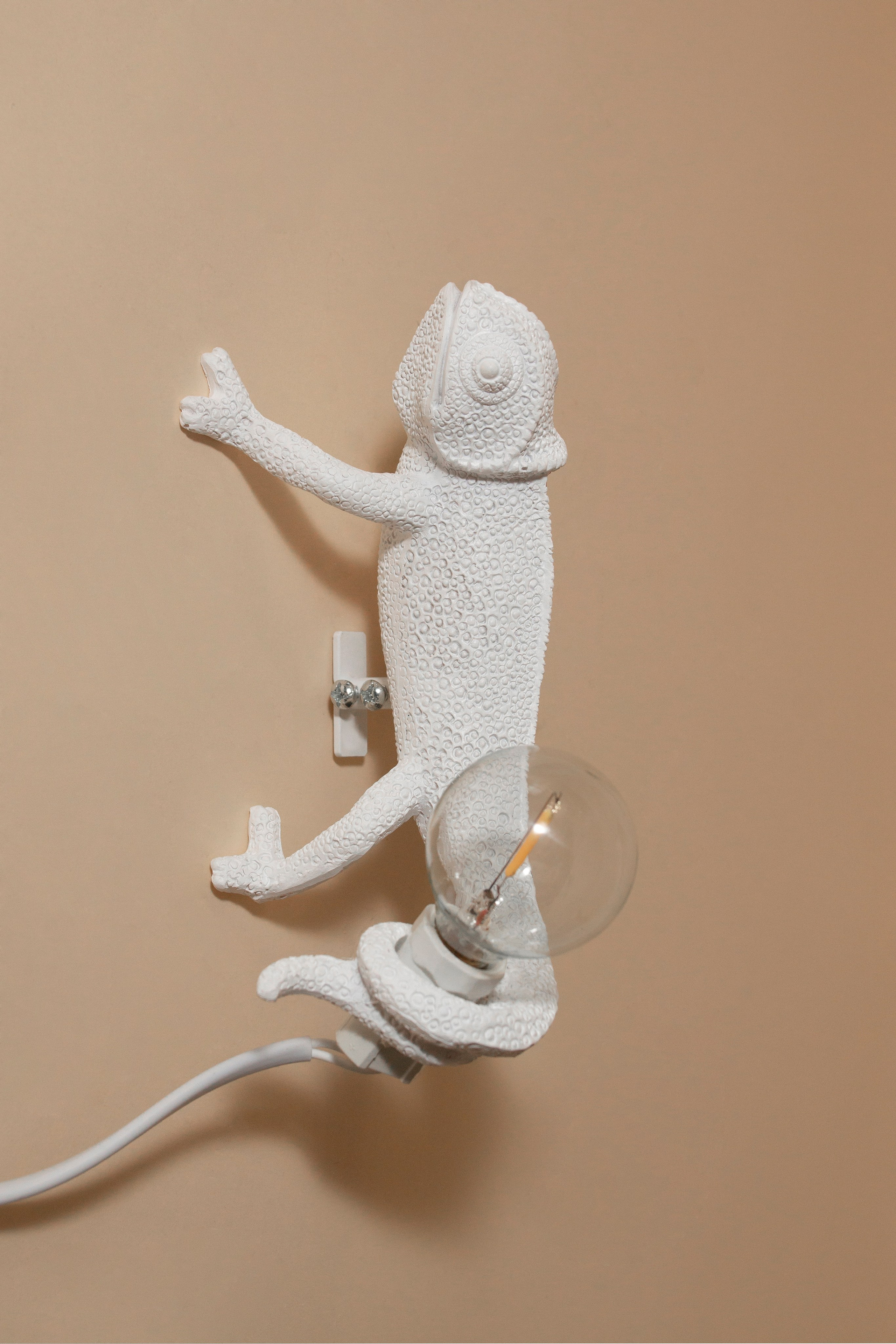 Предметная фотография. Фотограф Злата Спицына