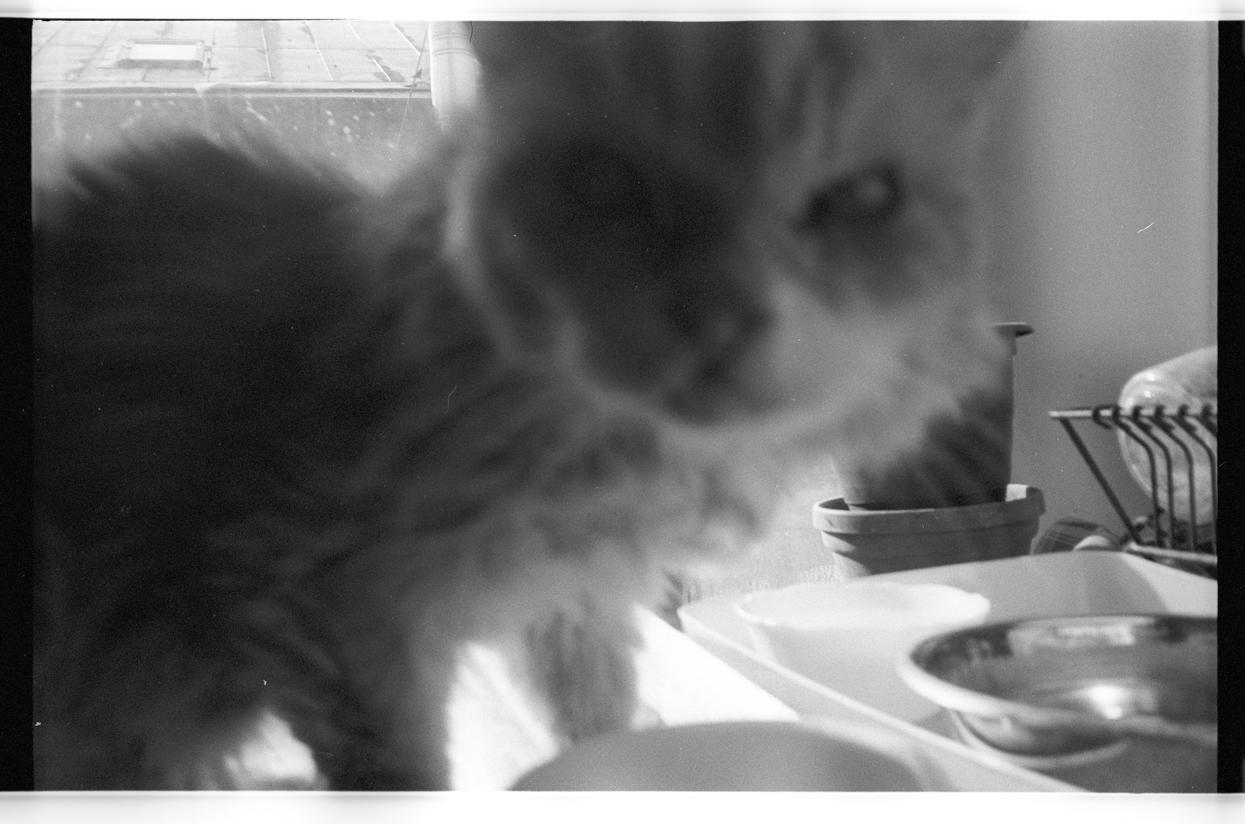 Black and white diary