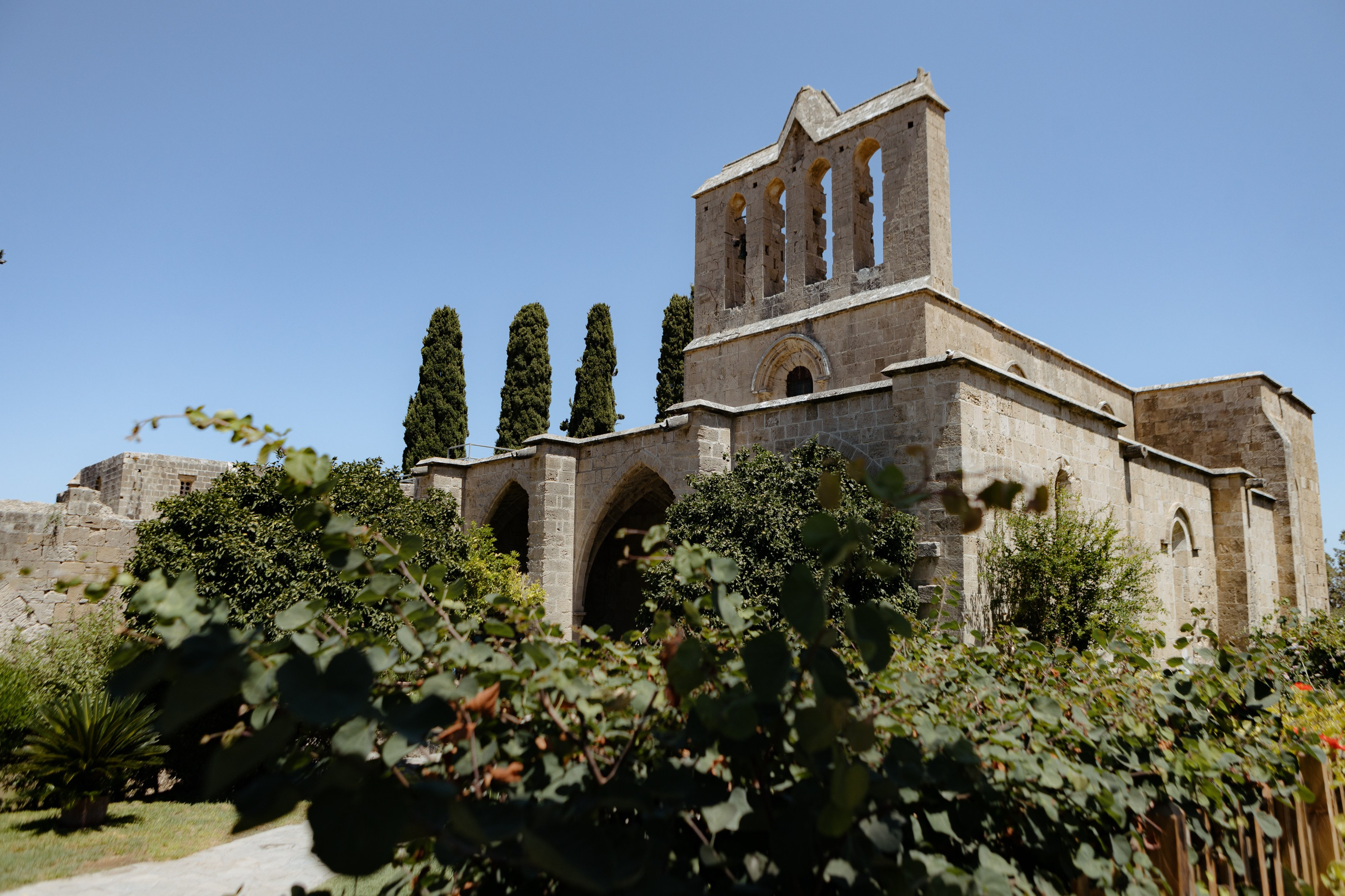 R&S. Фотограф в Батуми Павел Шарников