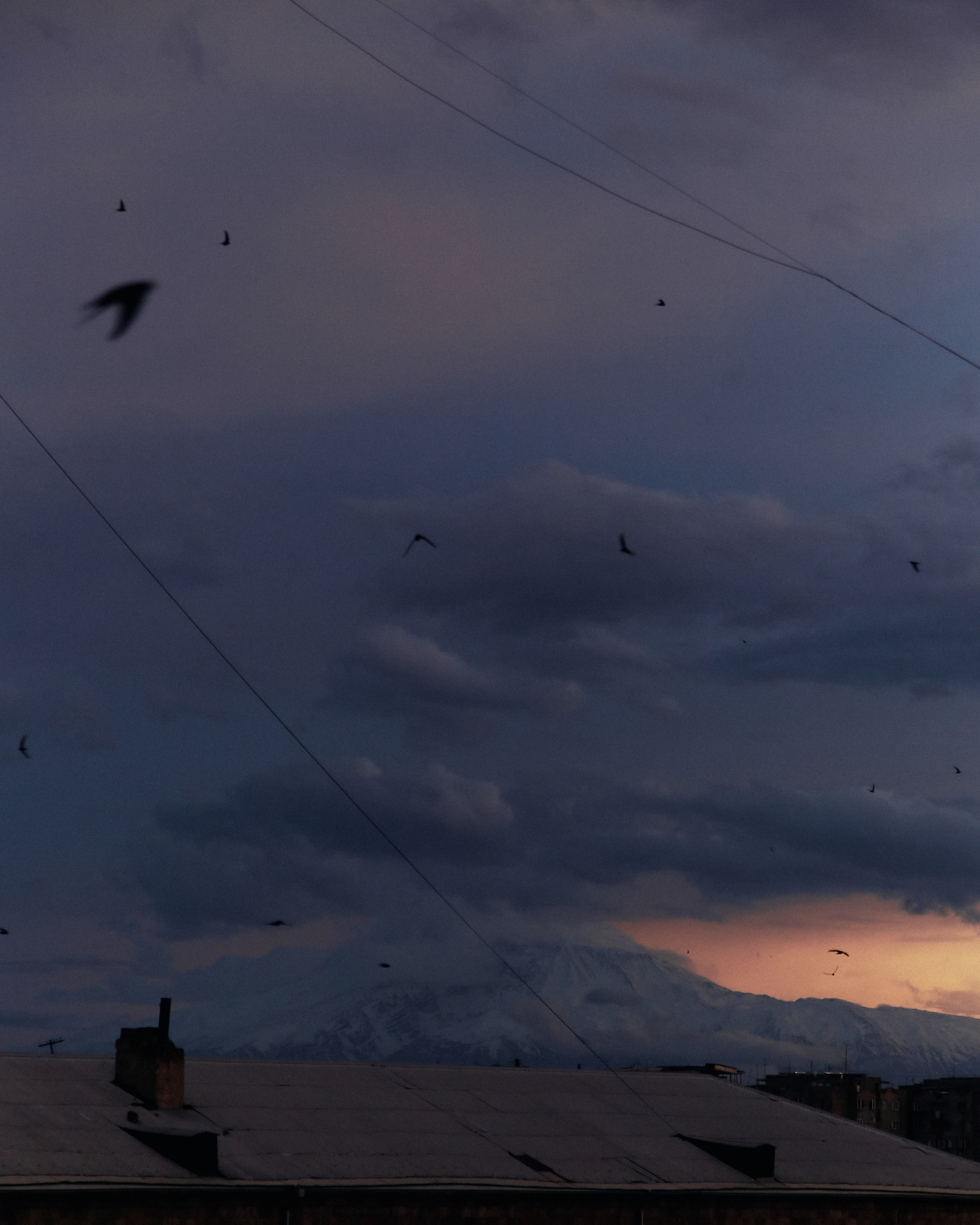 What is beauty | for the VOGUE competition. Egor Plakhotin Photography