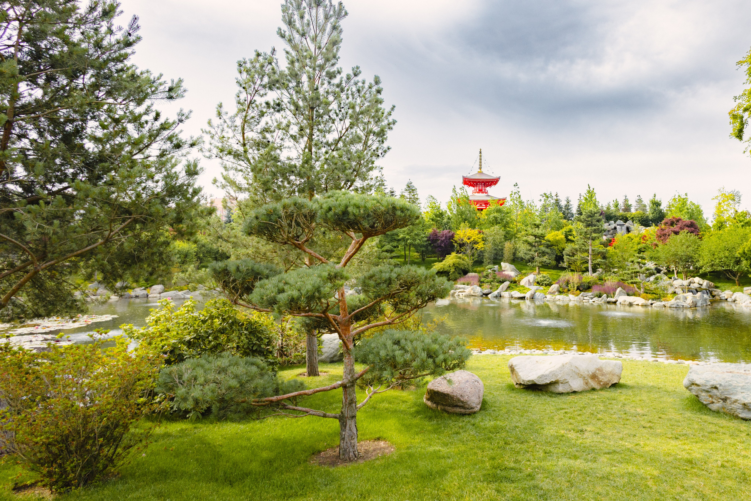 Японский сад в Краснодаре. Профессиональный фотограф и видеооператор