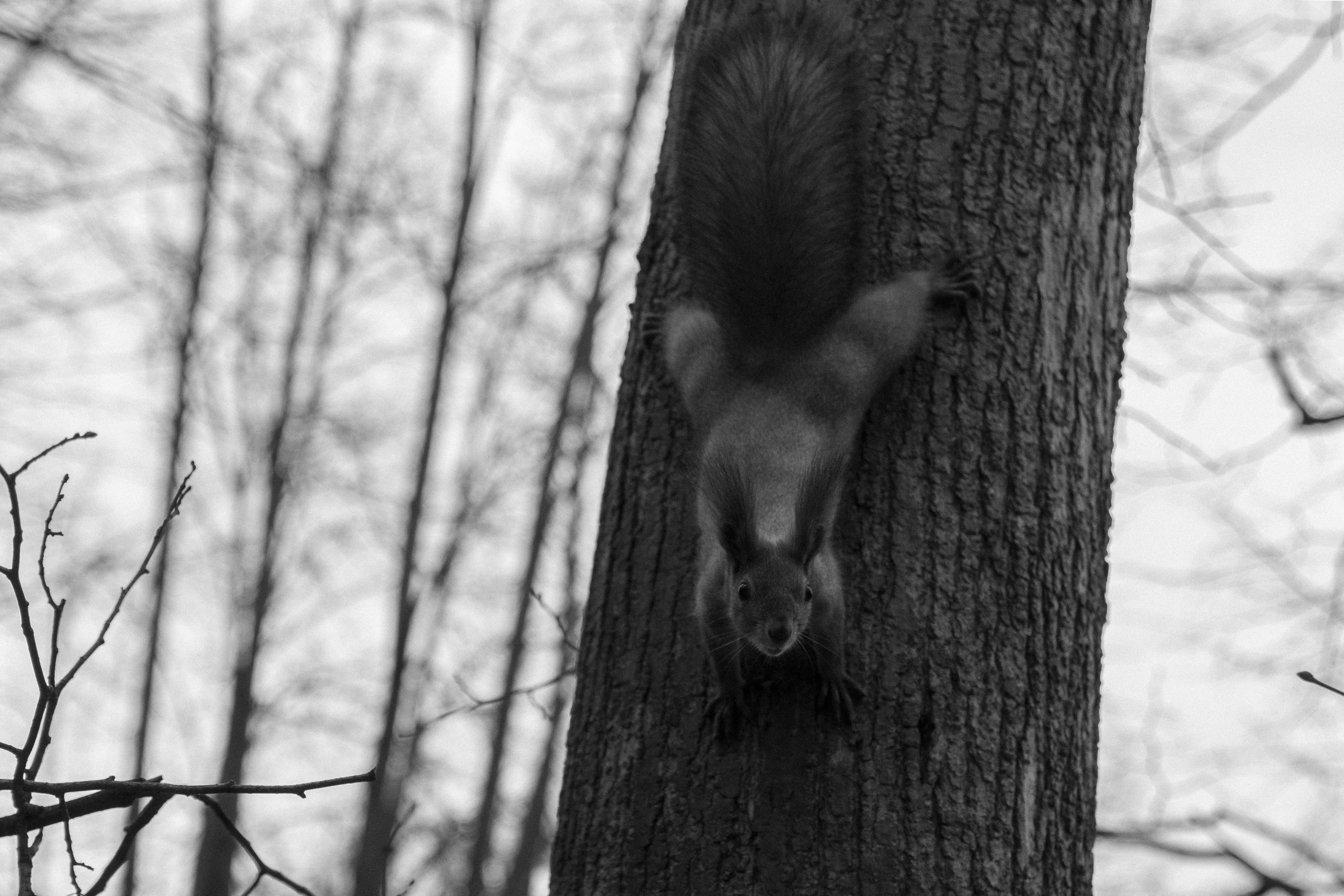 Русско-Немецкая Швейцария. Арсений Марасинский — фотограф в Казани