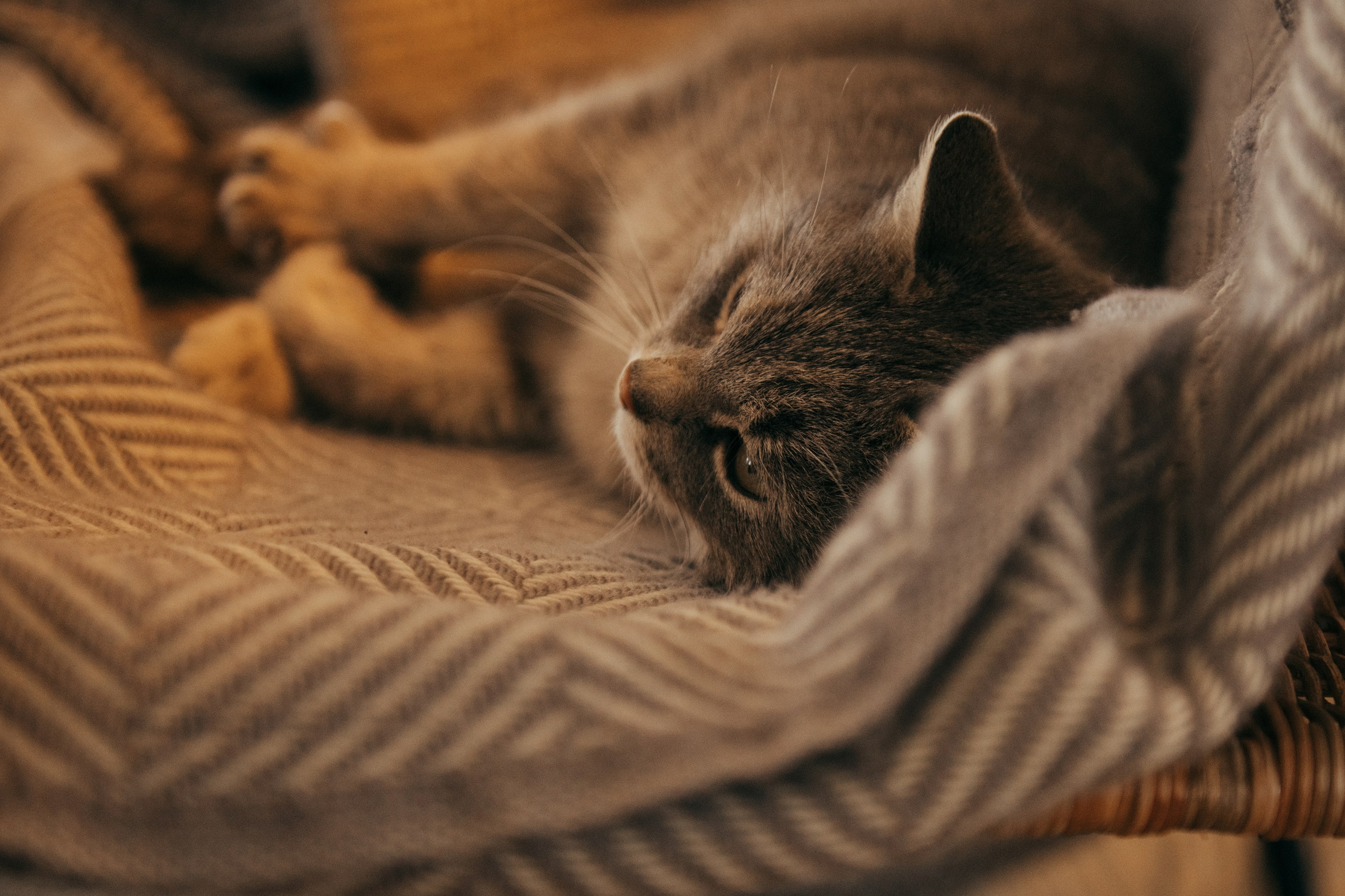 Я и мама. Свадебный и семейный фотограф Алиса Полякова |Старый Оскол | Воронеж