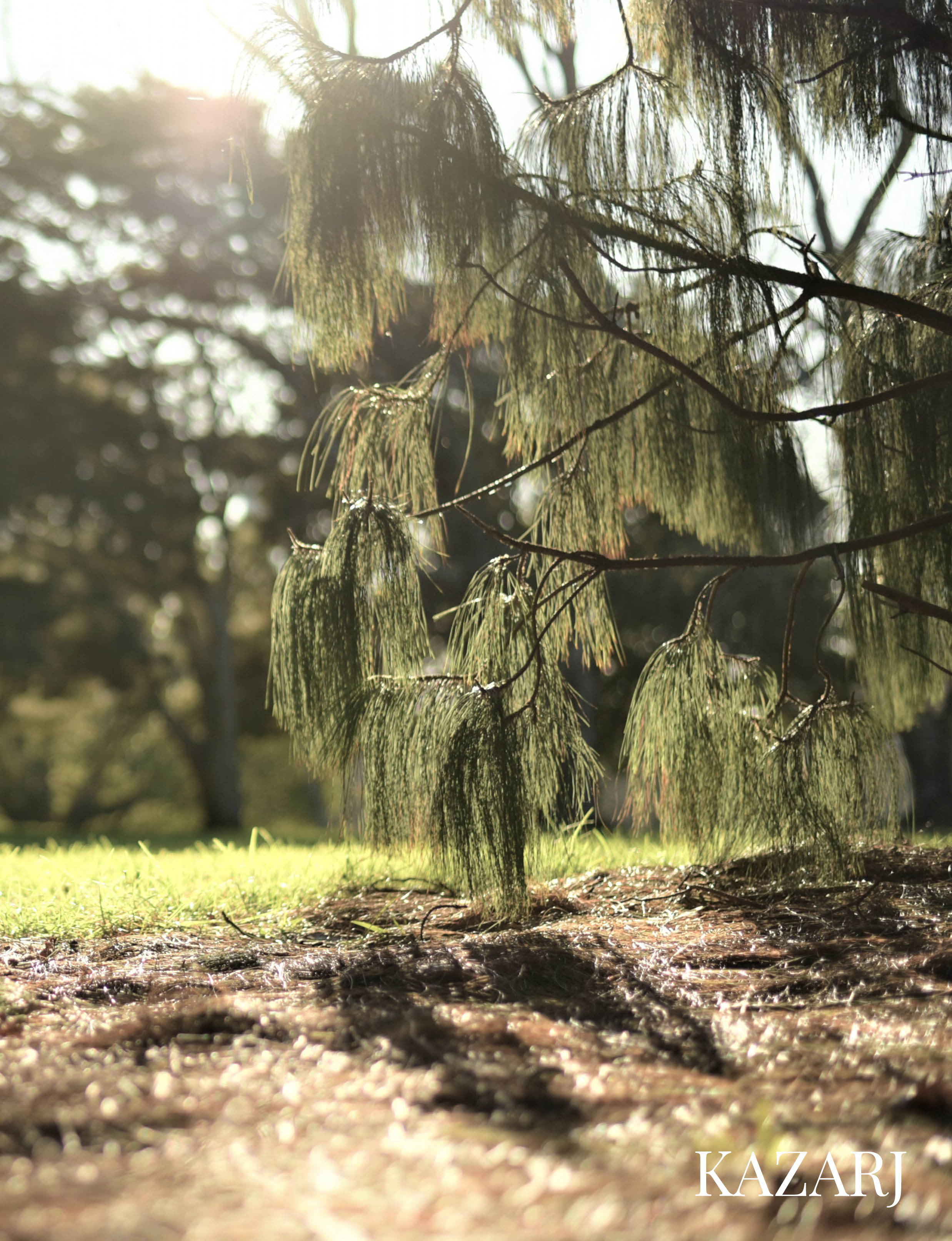 PUBLICATIONS. Wedding photographer Oklahoma US