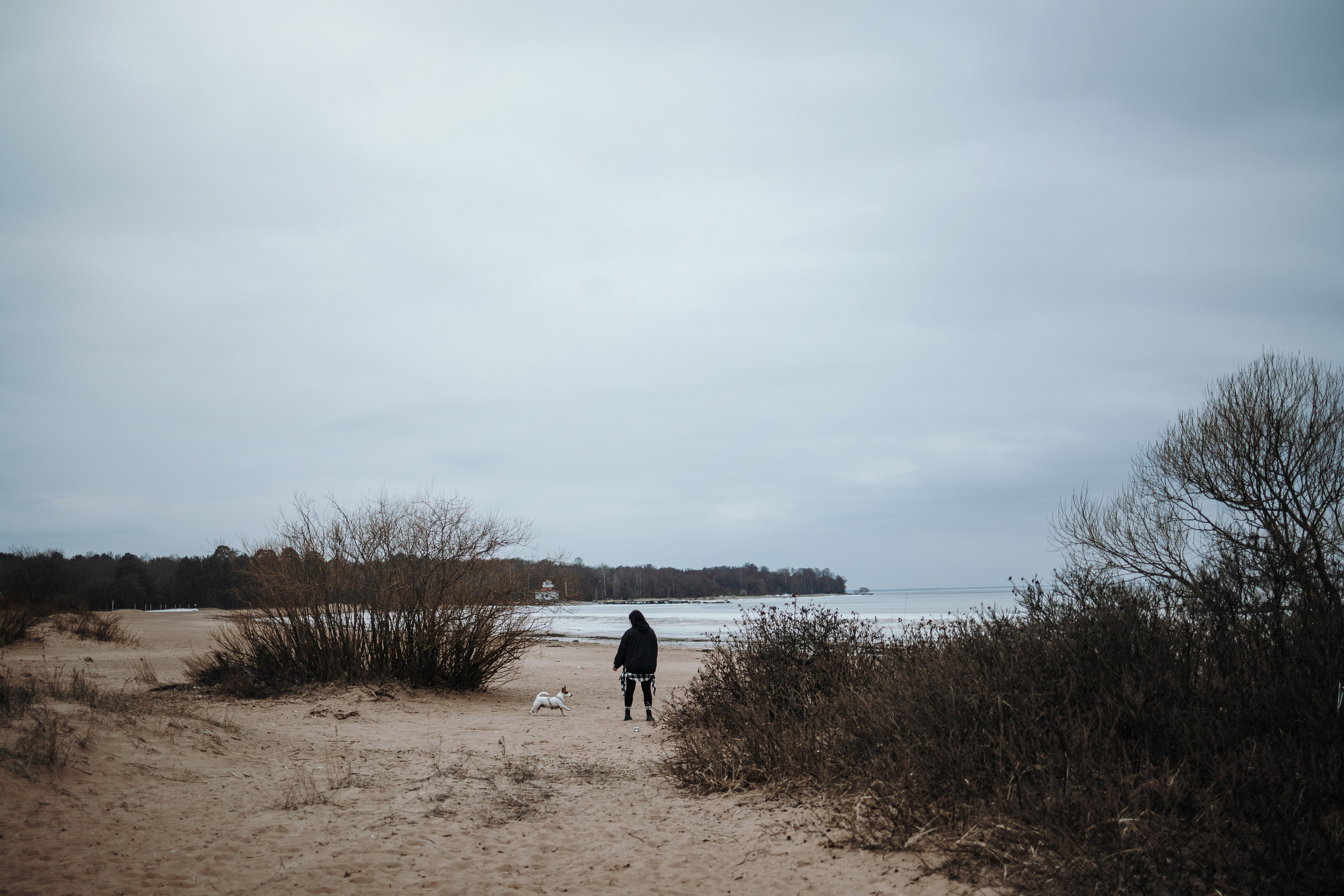 Саша и Джеки. Фотограф — Анималист | Санкт-Петербург