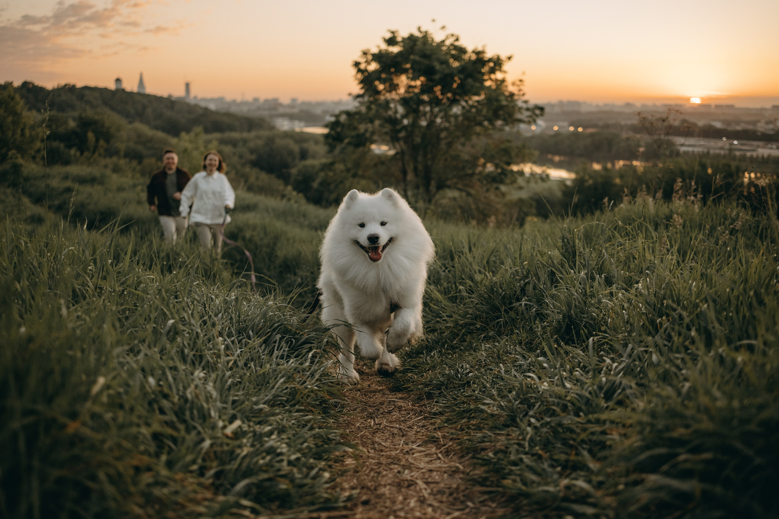 Танго и его семья. Фотограф — Анималист | Санкт-Петербург