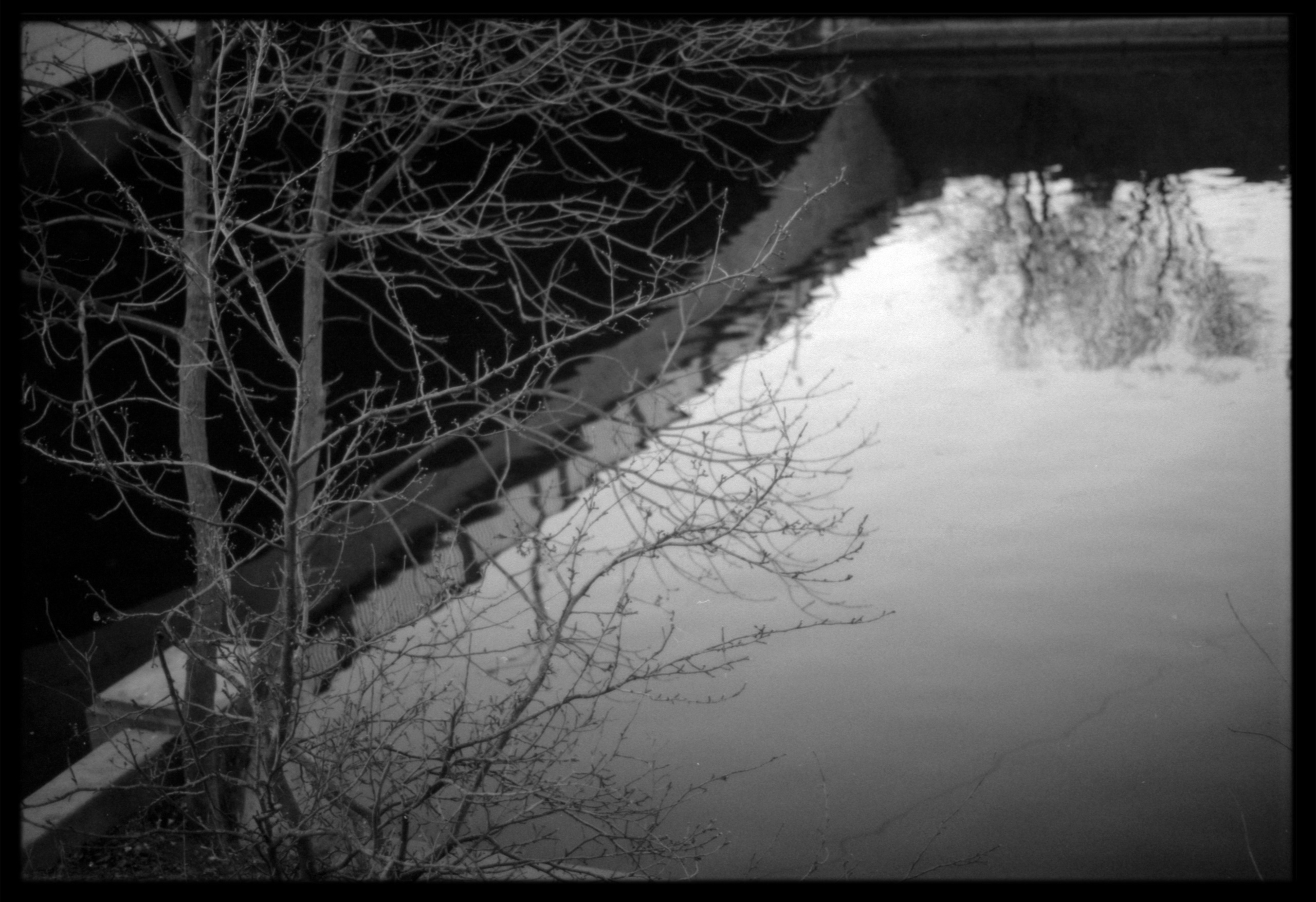 Петербург. Фотограф в Ярославле