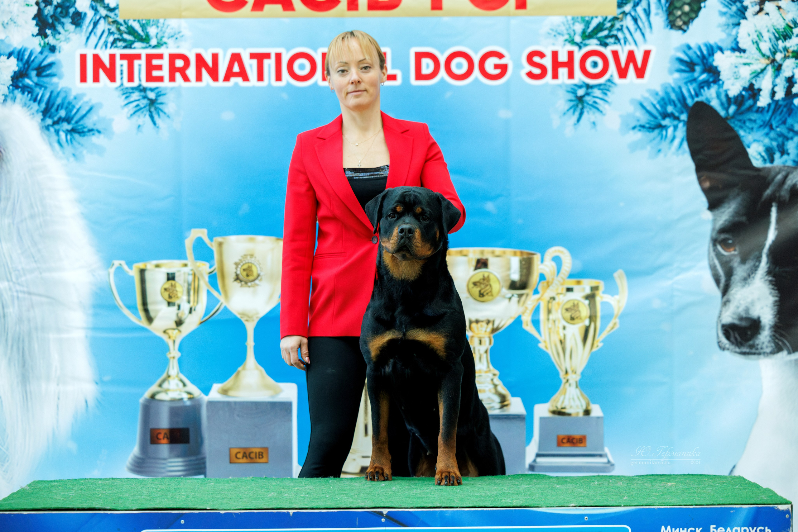 Минск 23.11.2024. Фотограф-анималист Юлия Германика