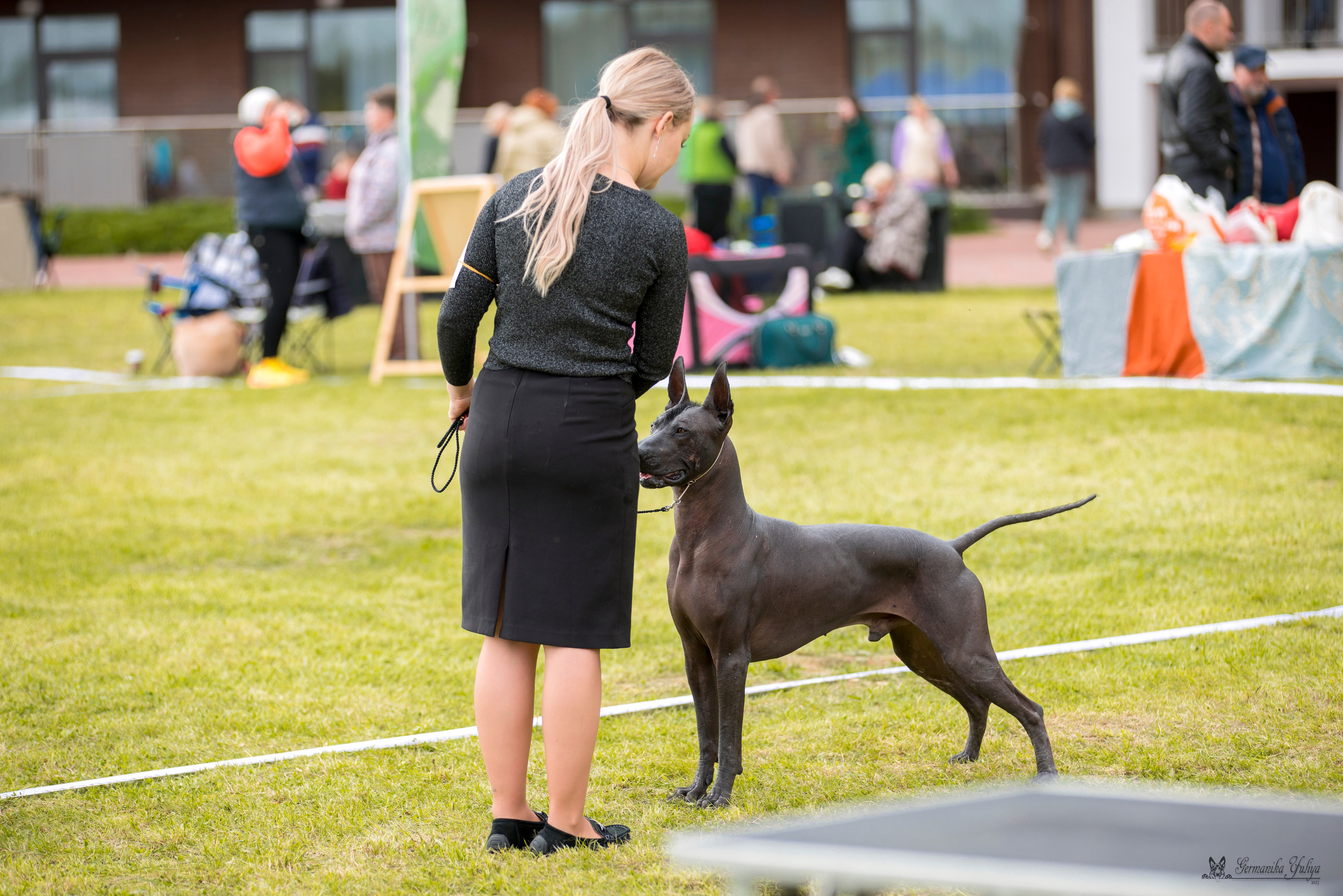 Переславль 9-10.09.2023. Фотограф-анималист Юлия Германика