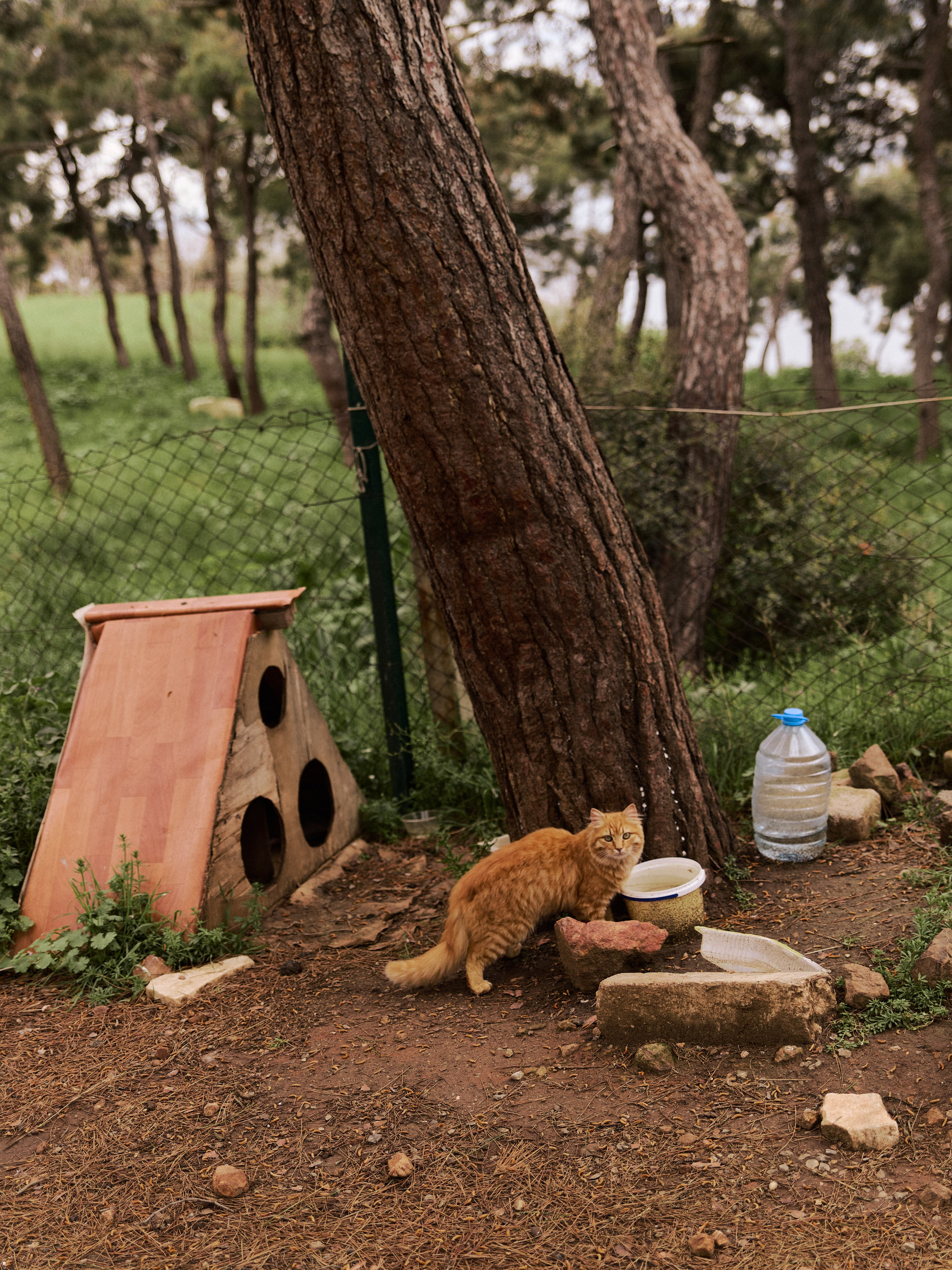Диптих. Jorgis — фотограф в Хургаде / обучение фотографии