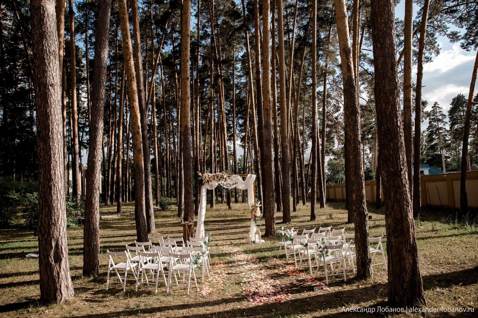 Свадьба Михаила и Анастасии