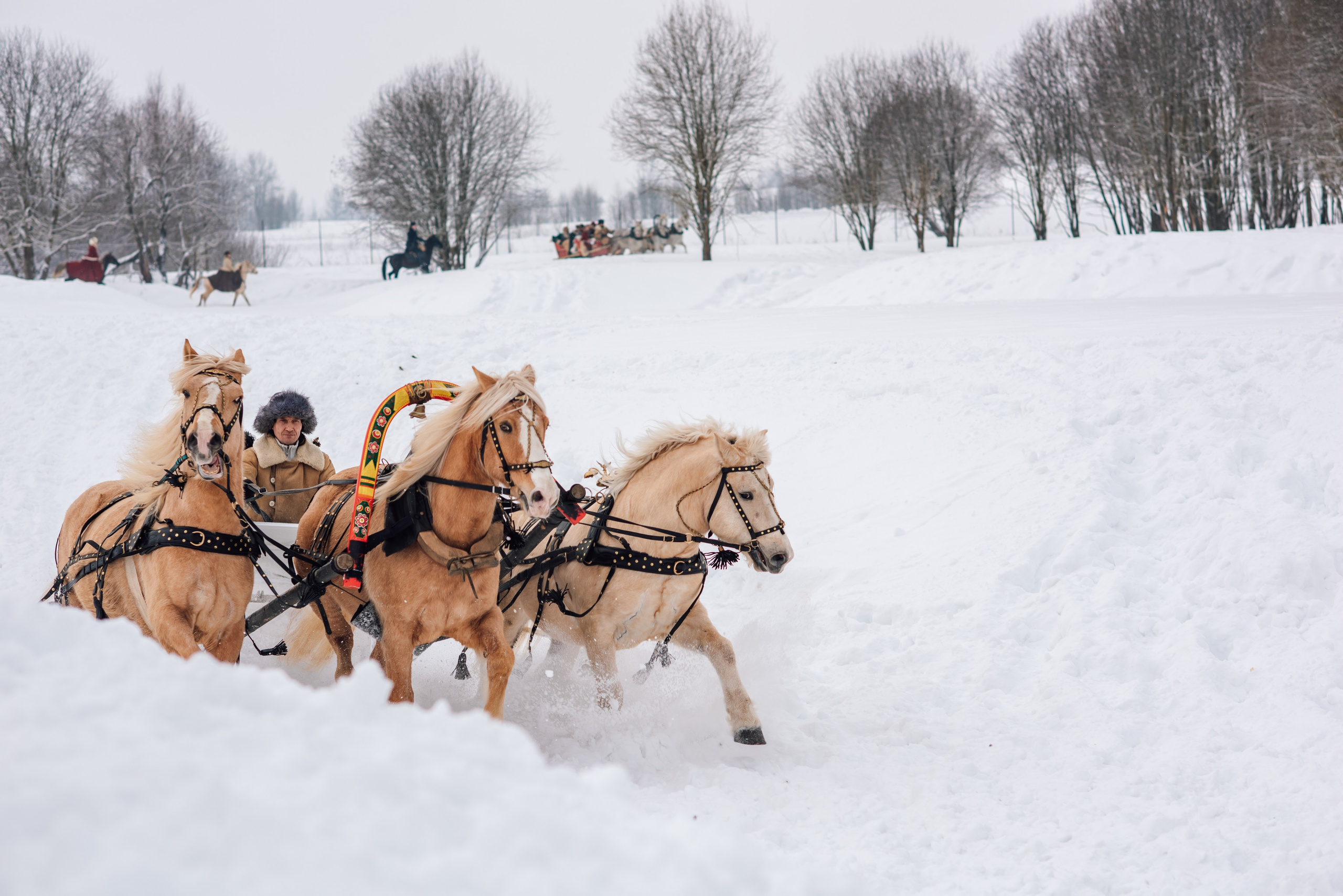 Зимняя парфорсная охота. Фотограф Диана Вальтер