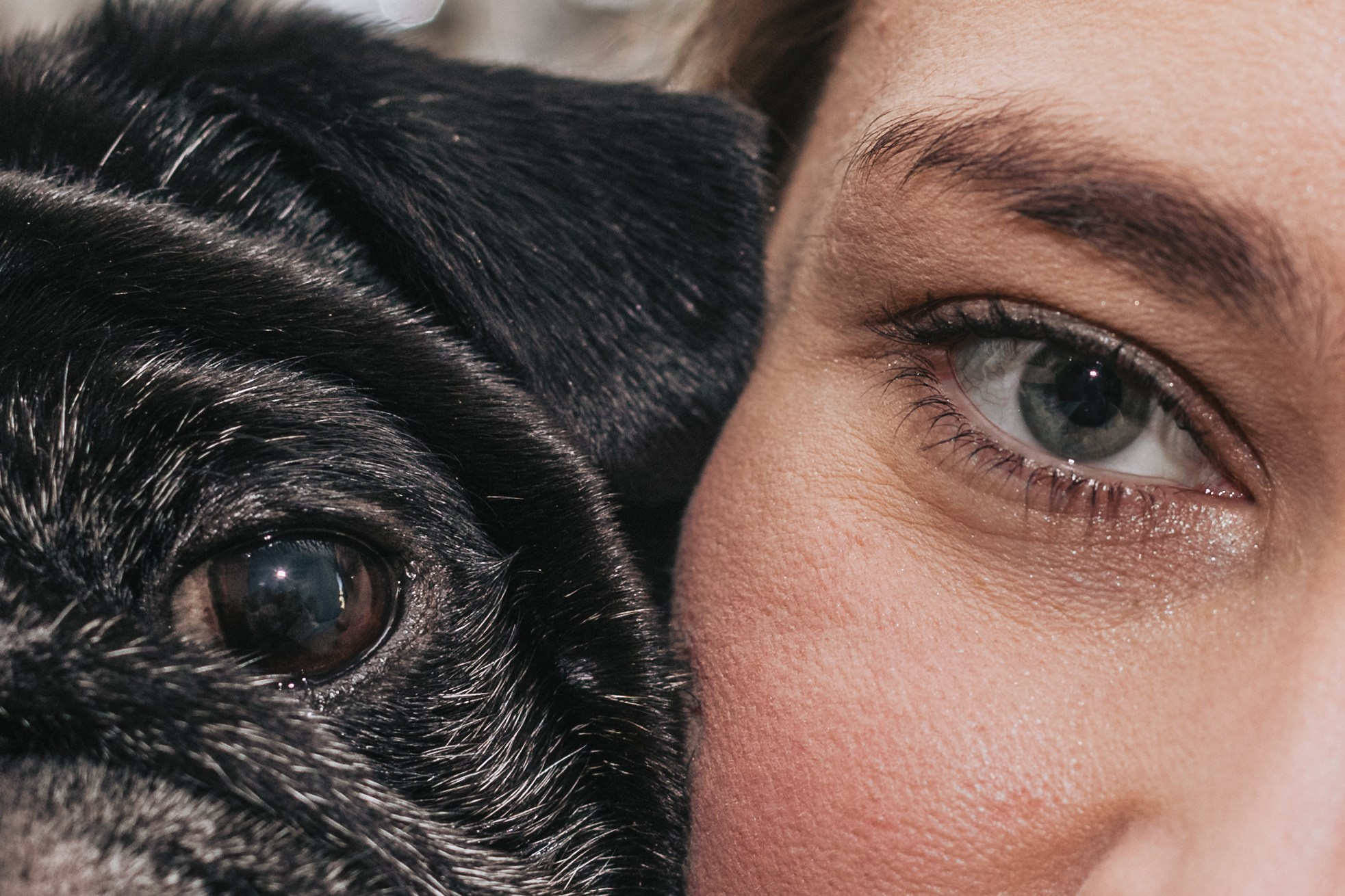 Домашняя фотосессия Оли и двух ее мопсов. Фотограф-анималист Татьяна Степанова