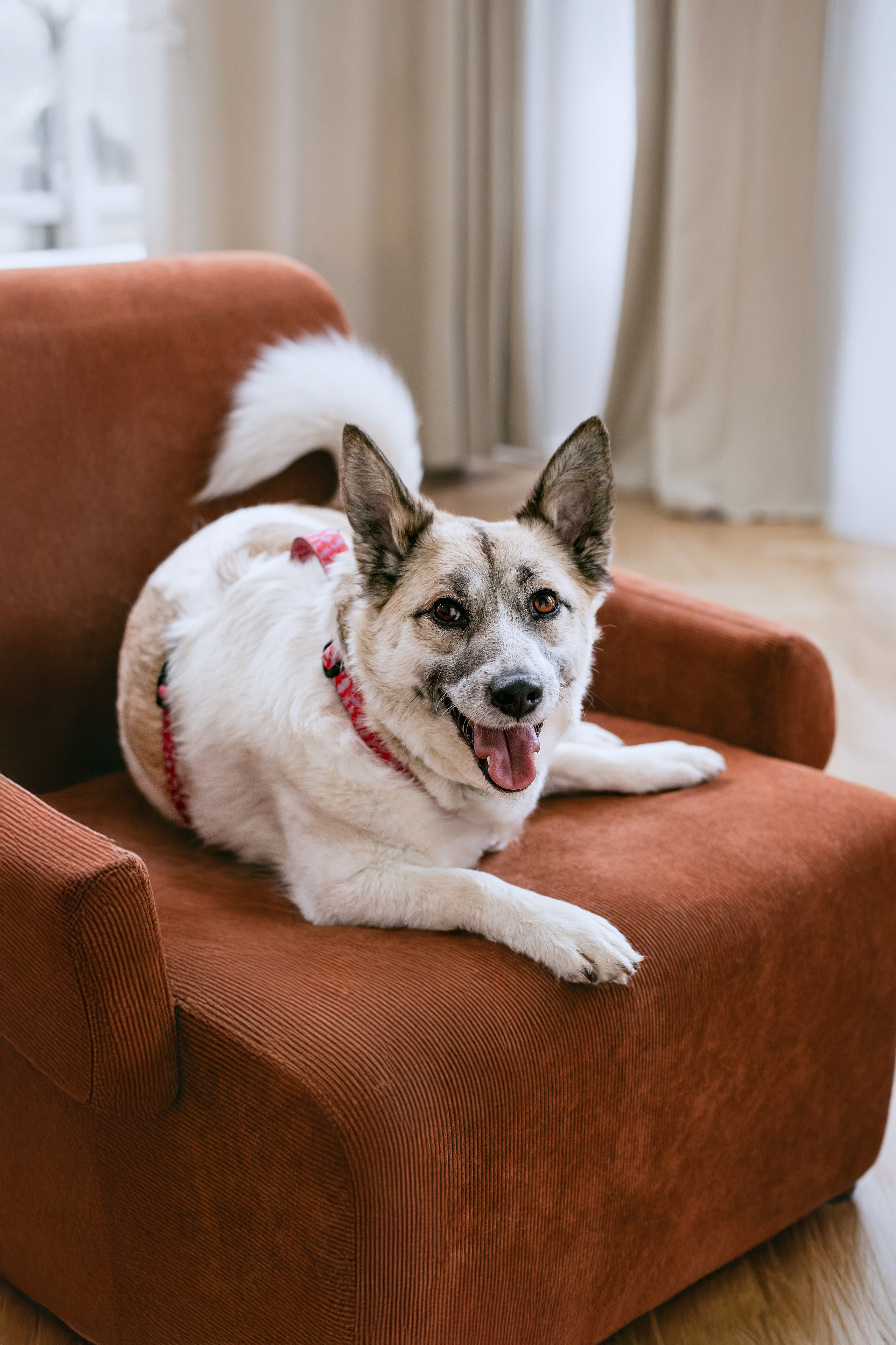 Студия лето 2025. Фотограф-анималист Татьяна Степанова