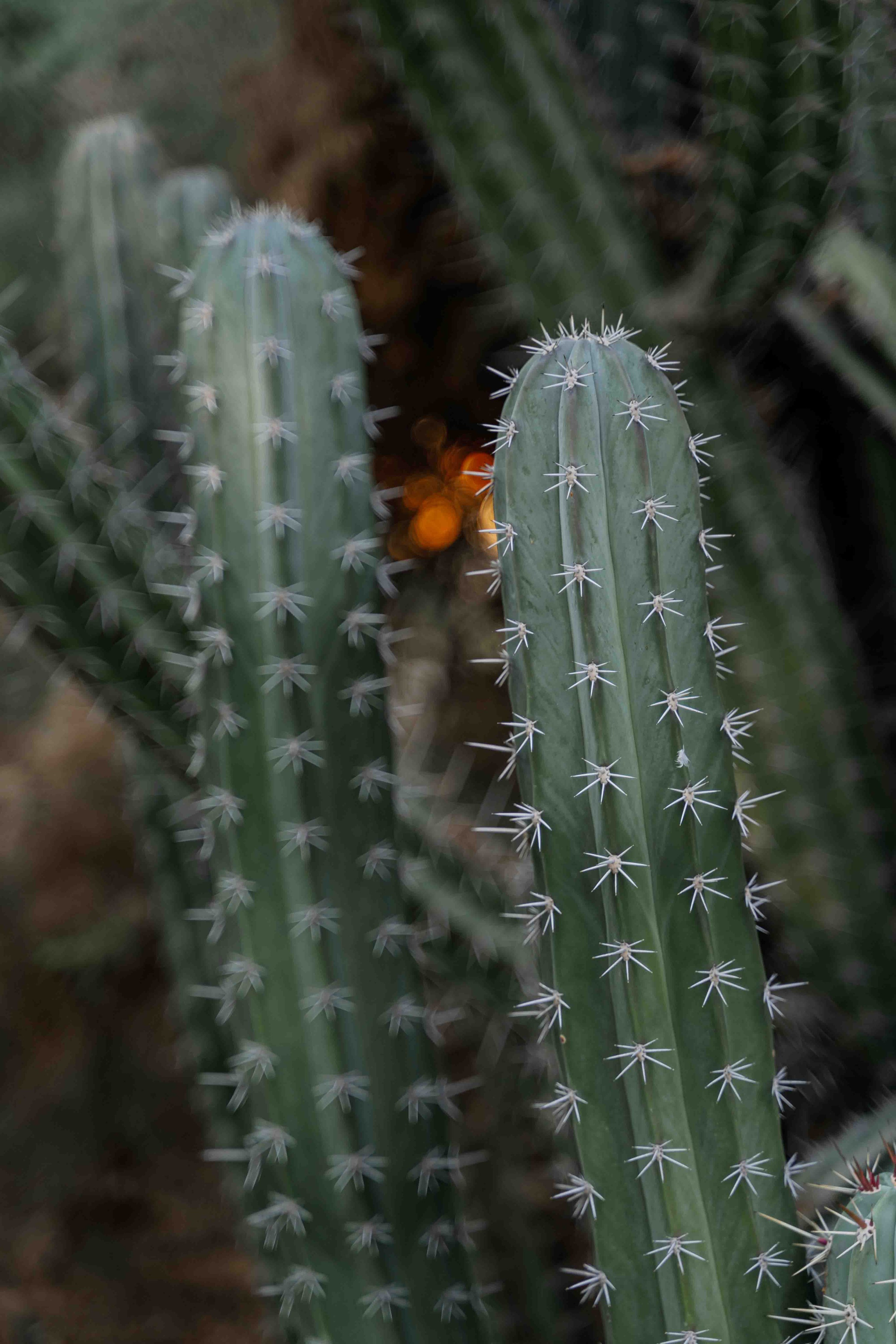 Top 5 locations for wedding photoshoot in Abu Dhabi