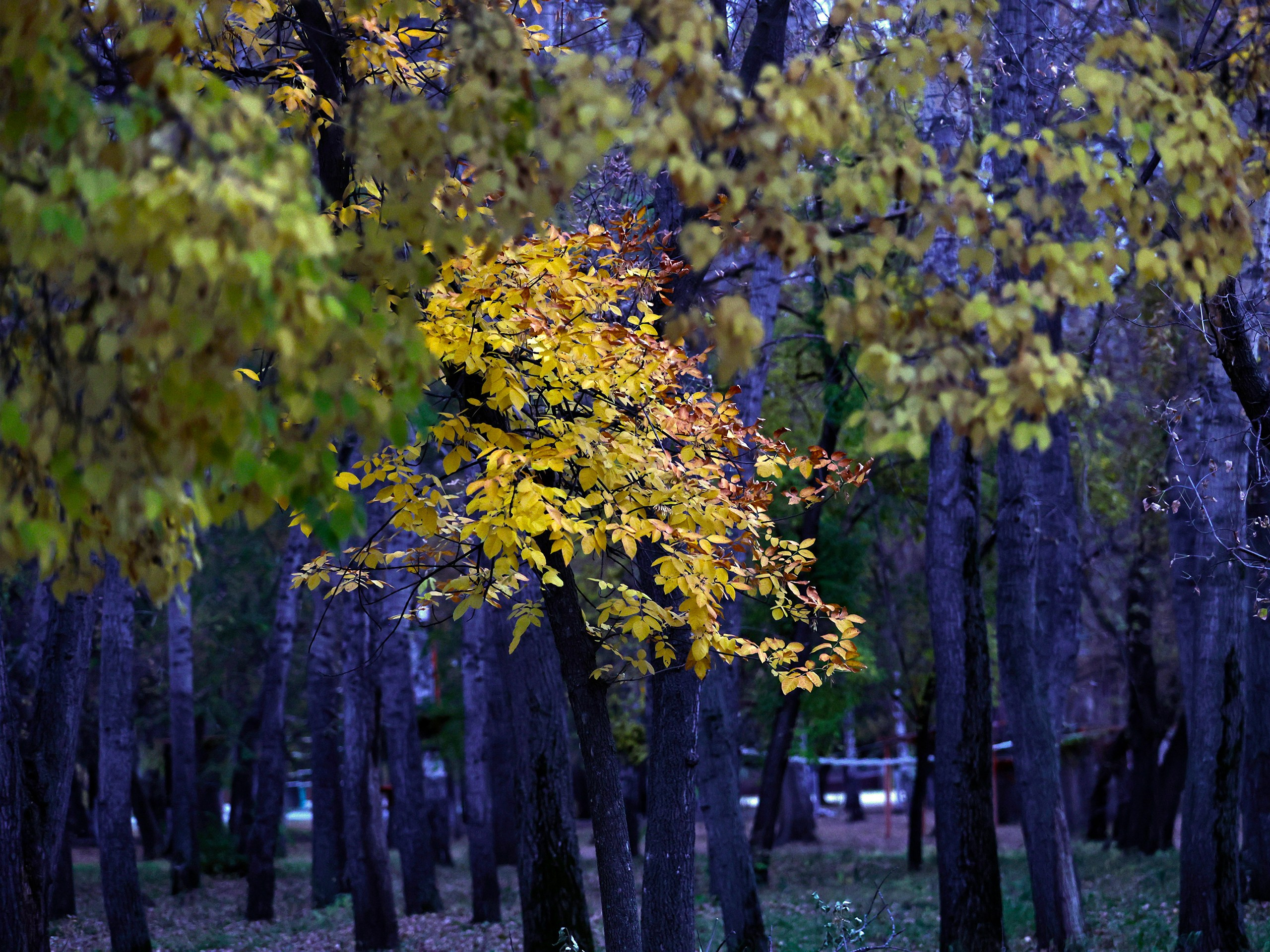 Фотограф | Видеограф в Кургане, Тюмени и Челябинске