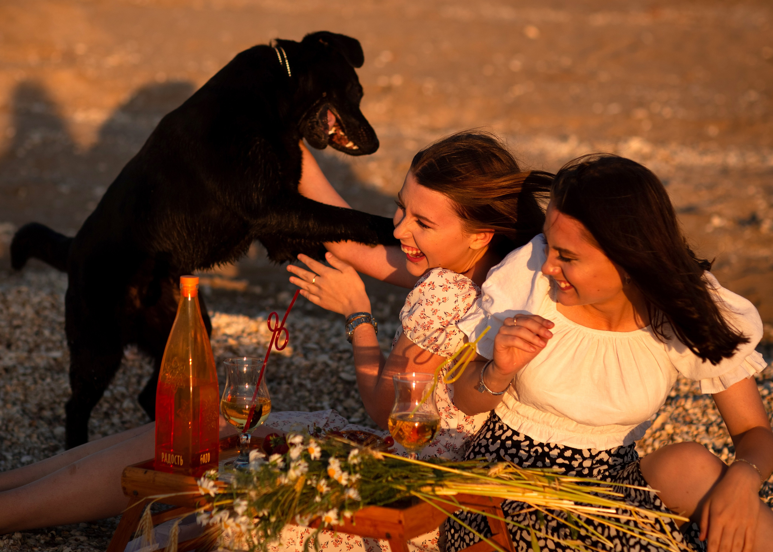 Пикник на закате. Фотограф в Приморско-Ахтарске Марьяна Чопко