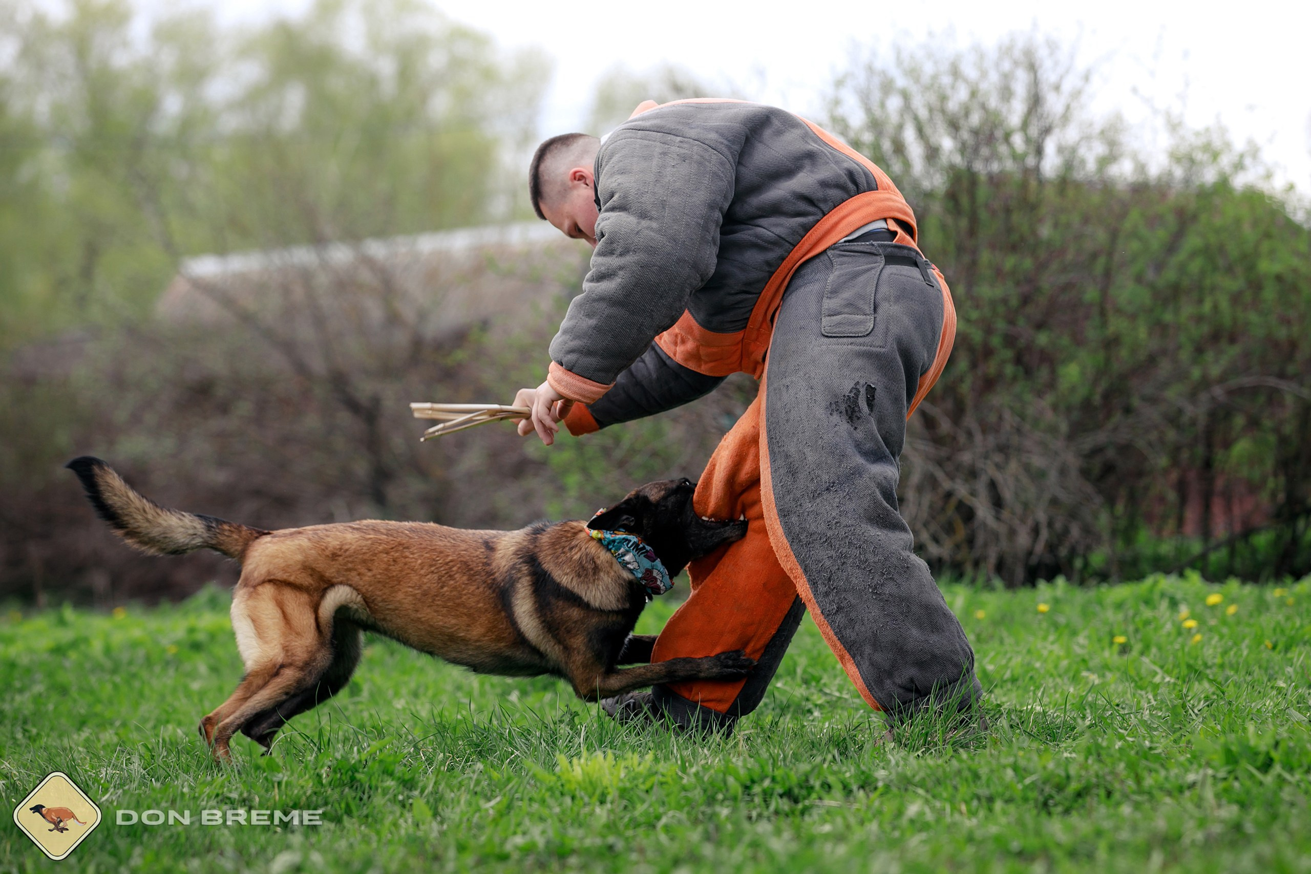 Семинар для фигурантов, день 2. Фотограф-анималист Mary Mart — Москва, Питер