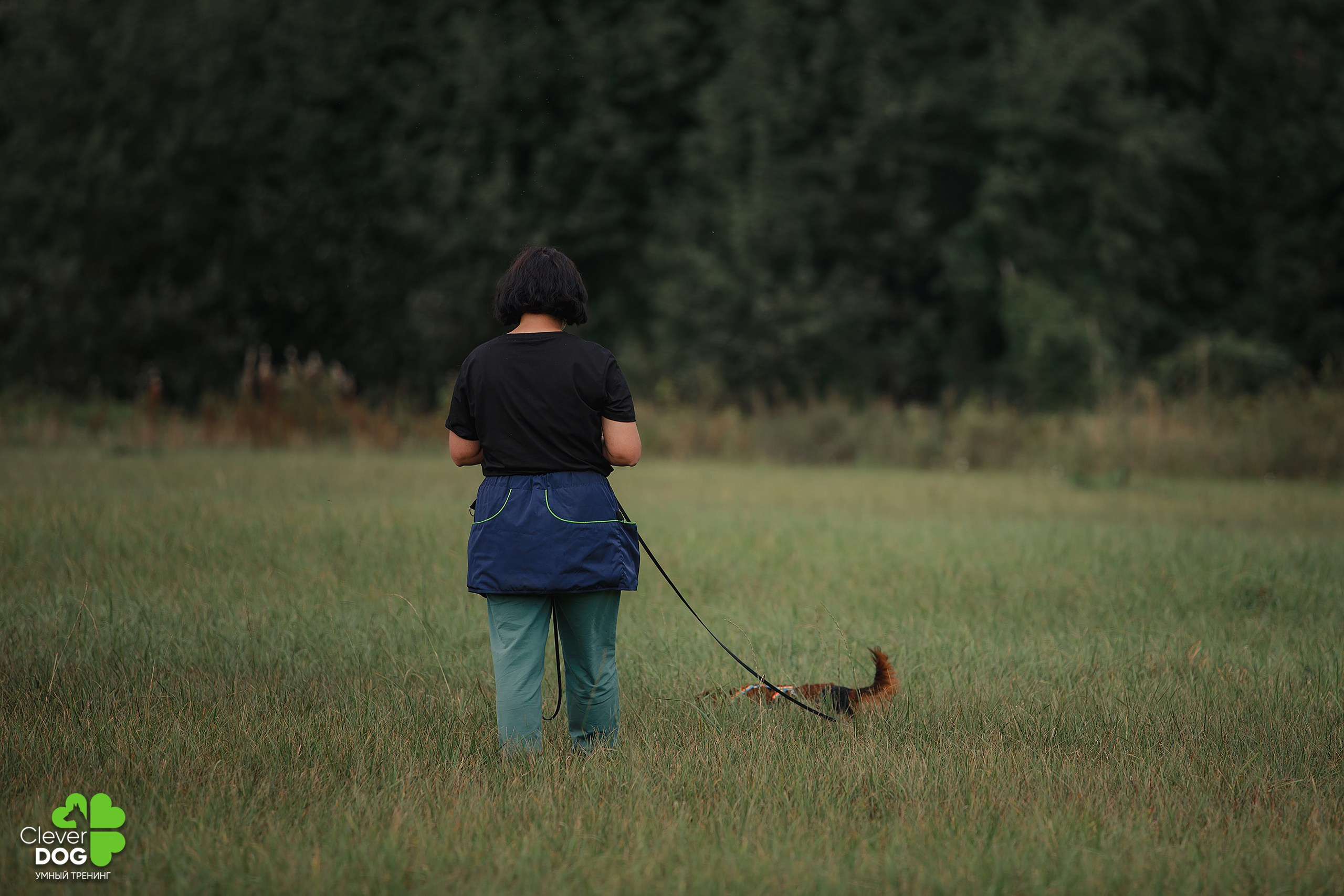 Кинологический лагерь CleverDog, 2024. Фотограф-анималист Mary Mart — Москва, Питер